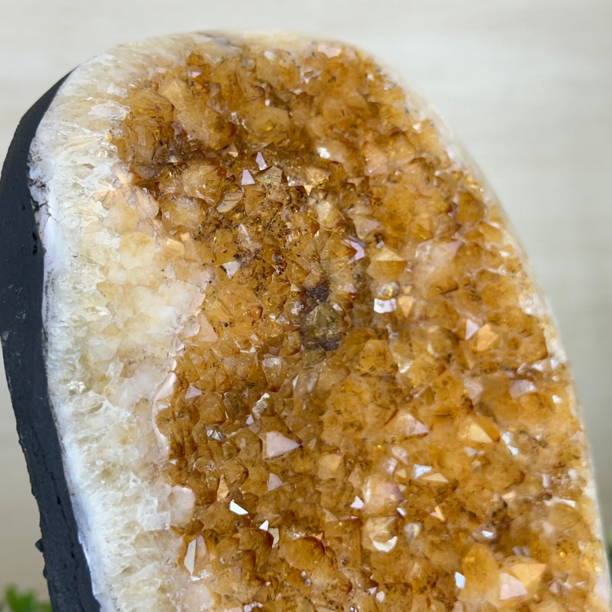 Extra Quality Citrine Cluster on Cement Base, 7.9 lbs and 9.2" Tall 5615 - 0058 - Brazil GemsBrazil GemsExtra Quality Citrine Cluster on Cement Base, 7.9 lbs and 9.2" Tall 5615 - 0058Clusters on Cement Bases5615 - 0058