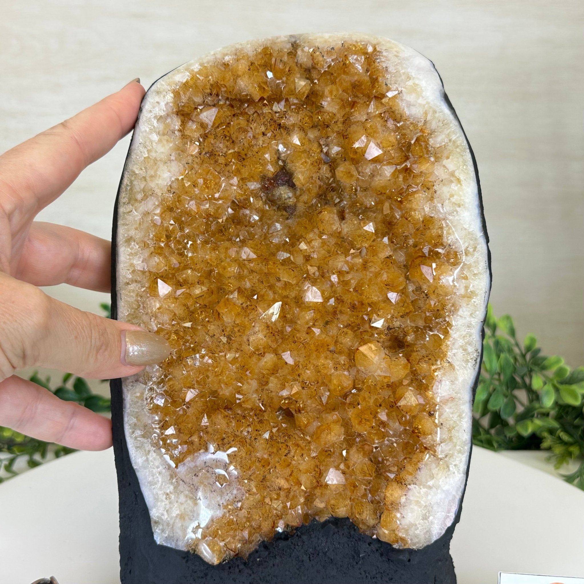 Extra Quality Citrine Cluster on Cement Base, 7.9 lbs and 9.2" Tall 5615 - 0058 - Brazil GemsBrazil GemsExtra Quality Citrine Cluster on Cement Base, 7.9 lbs and 9.2" Tall 5615 - 0058Clusters on Cement Bases5615 - 0058