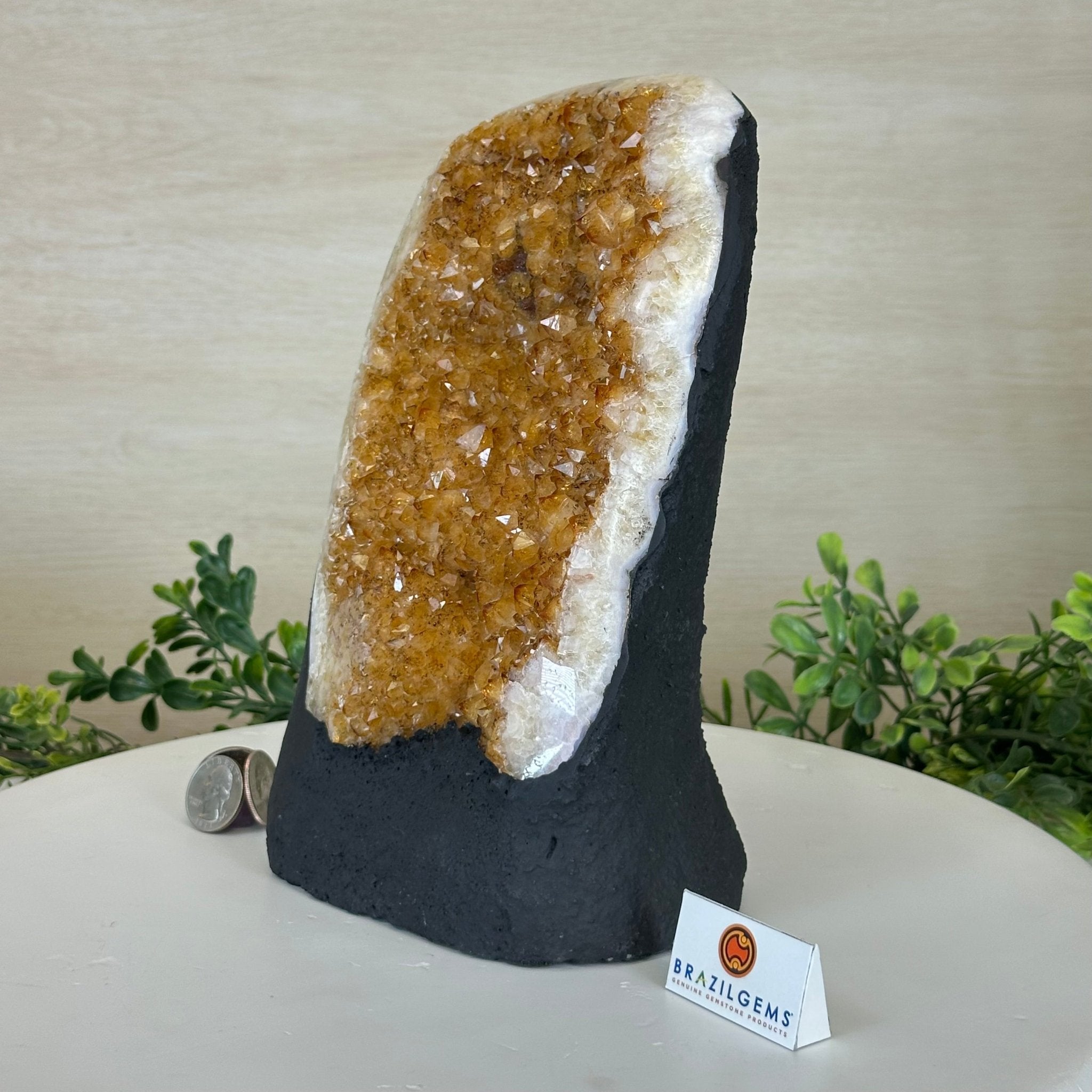 Extra Quality Citrine Cluster on Cement Base, 7.9 lbs and 9.2" Tall 5615 - 0058 - Brazil GemsBrazil GemsExtra Quality Citrine Cluster on Cement Base, 7.9 lbs and 9.2" Tall 5615 - 0058Clusters on Cement Bases5615 - 0058