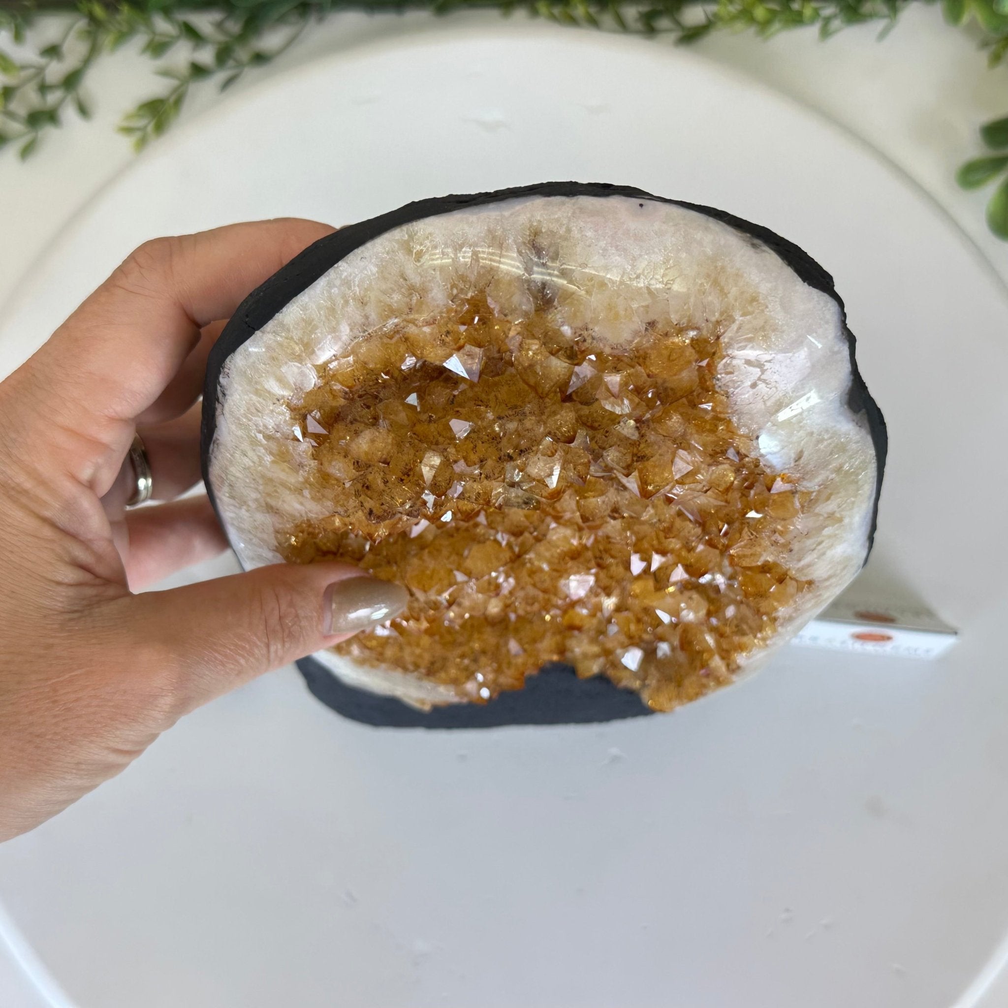 Extra Quality Citrine Cluster on Cement Base, 7.9 lbs and 9.2" Tall 5615 - 0058 - Brazil GemsBrazil GemsExtra Quality Citrine Cluster on Cement Base, 7.9 lbs and 9.2" Tall 5615 - 0058Clusters on Cement Bases5615 - 0058