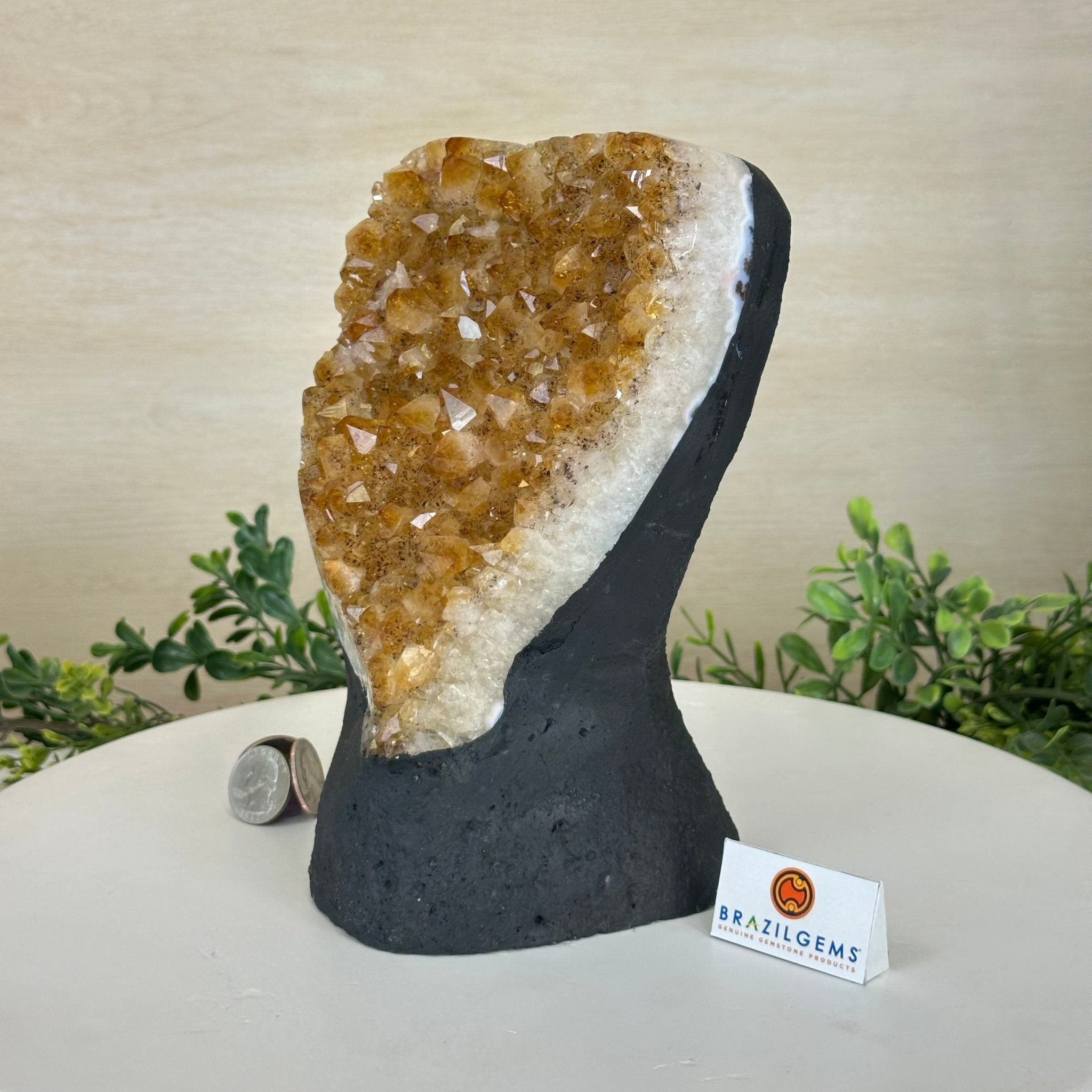 Extra Quality Citrine Cluster on Cement Base, 8.8 lbs and 8.3" Tall 5615 - 0062 - Brazil GemsBrazil GemsExtra Quality Citrine Cluster on Cement Base, 8.8 lbs and 8.3" Tall 5615 - 0062Clusters on Cement Bases5615 - 0062