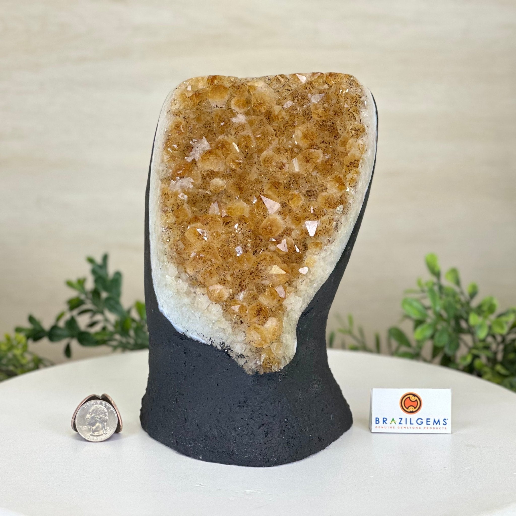 Extra Quality Citrine Cluster on Cement Base, 8.8 lbs and 8.3" Tall 5615 - 0062 - Brazil GemsBrazil GemsExtra Quality Citrine Cluster on Cement Base, 8.8 lbs and 8.3" Tall 5615 - 0062Clusters on Cement Bases5615 - 0062