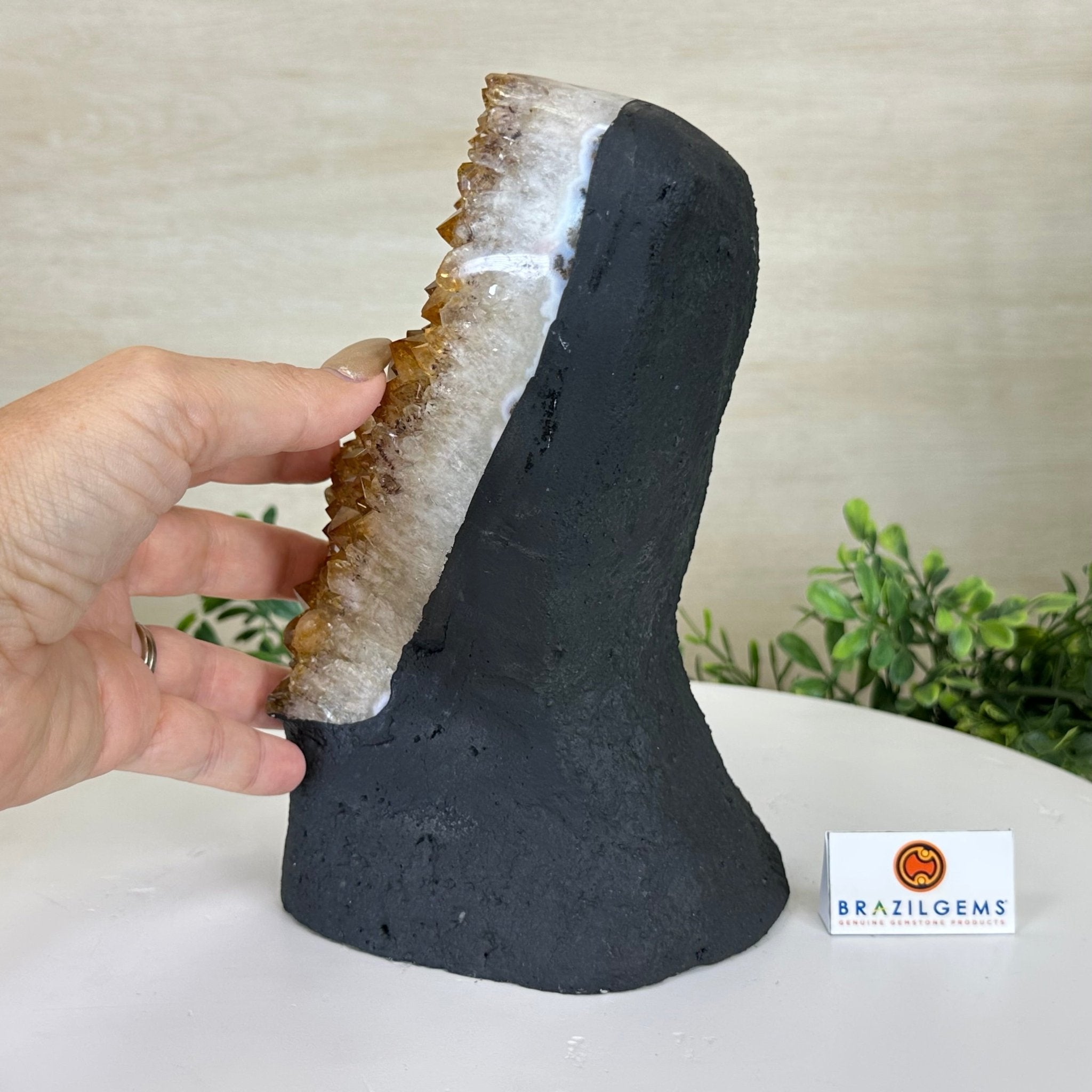 Extra Quality Citrine Cluster on Cement Base, 8.8 lbs and 8.3" Tall 5615 - 0062 - Brazil GemsBrazil GemsExtra Quality Citrine Cluster on Cement Base, 8.8 lbs and 8.3" Tall 5615 - 0062Clusters on Cement Bases5615 - 0062
