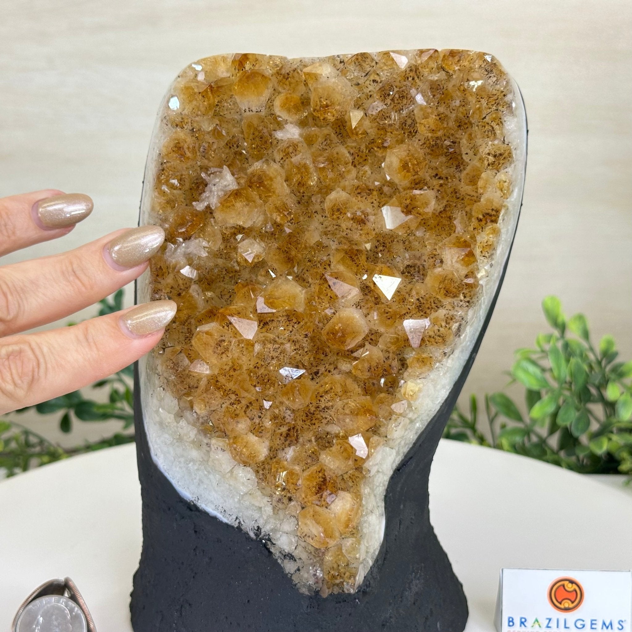 Extra Quality Citrine Cluster on Cement Base, 8.8 lbs and 8.3" Tall 5615 - 0062 - Brazil GemsBrazil GemsExtra Quality Citrine Cluster on Cement Base, 8.8 lbs and 8.3" Tall 5615 - 0062Clusters on Cement Bases5615 - 0062