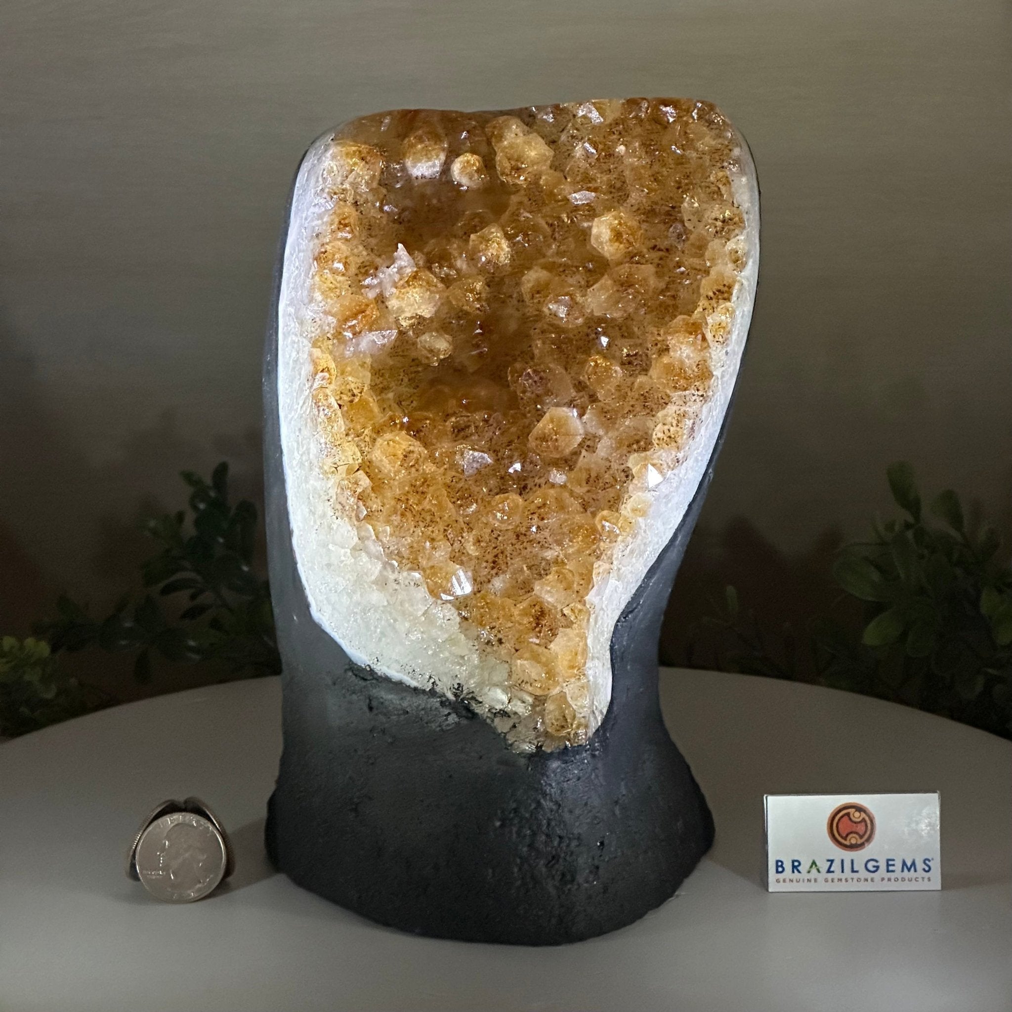 Extra Quality Citrine Cluster on Cement Base, 8.8 lbs and 8.3" Tall 5615 - 0062 - Brazil GemsBrazil GemsExtra Quality Citrine Cluster on Cement Base, 8.8 lbs and 8.3" Tall 5615 - 0062Clusters on Cement Bases5615 - 0062