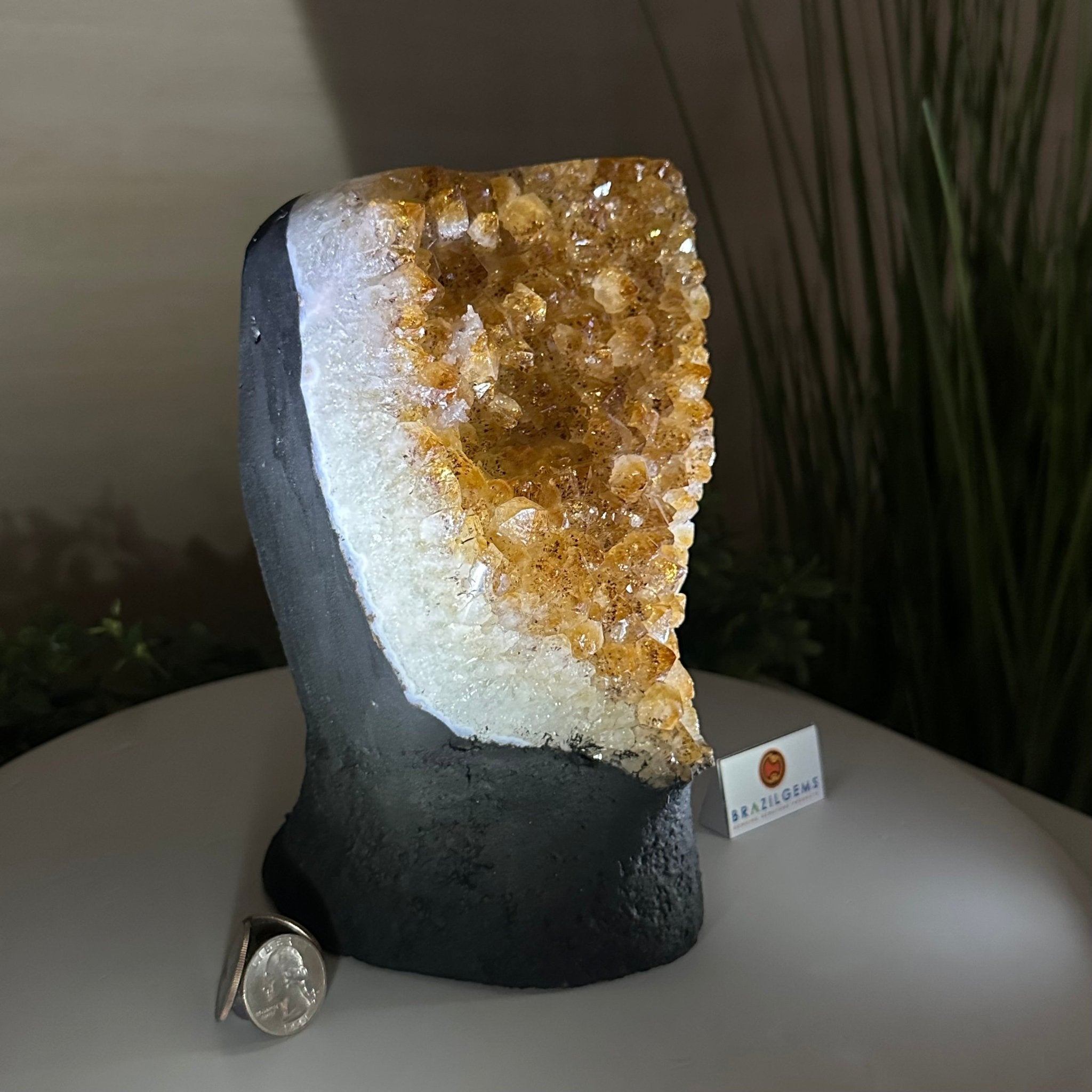 Extra Quality Citrine Cluster on Cement Base, 8.8 lbs and 8.3" Tall 5615 - 0062 - Brazil GemsBrazil GemsExtra Quality Citrine Cluster on Cement Base, 8.8 lbs and 8.3" Tall 5615 - 0062Clusters on Cement Bases5615 - 0062
