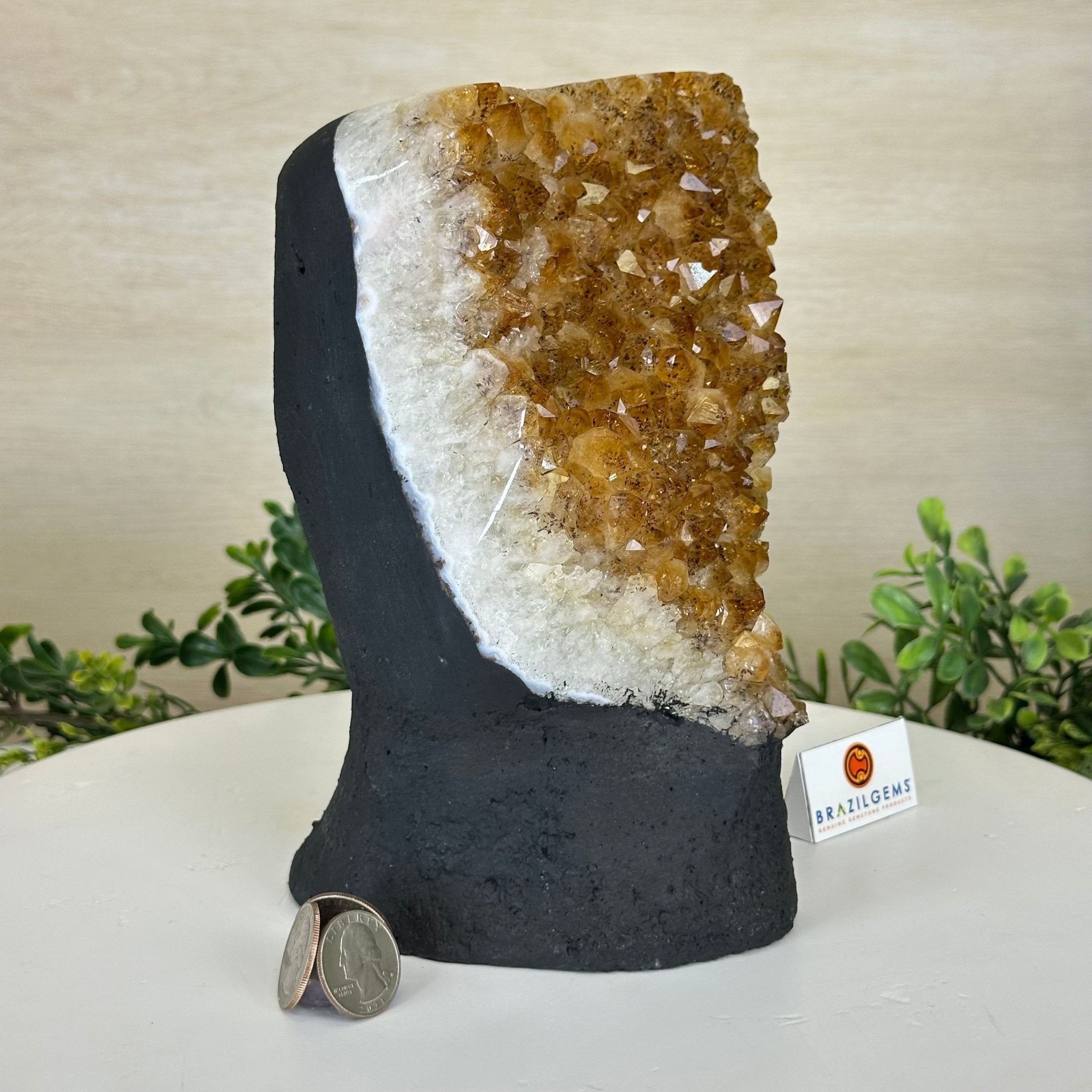 Extra Quality Citrine Cluster on Cement Base, 8.8 lbs and 8.3" Tall 5615 - 0062 - Brazil GemsBrazil GemsExtra Quality Citrine Cluster on Cement Base, 8.8 lbs and 8.3" Tall 5615 - 0062Clusters on Cement Bases5615 - 0062