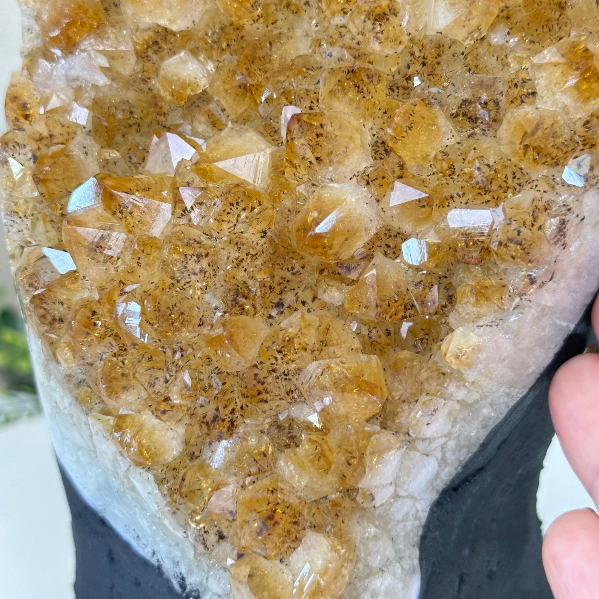 Extra Quality Citrine Cluster on Cement Base, 8.8 lbs and 8.3" Tall 5615 - 0062 - Brazil GemsBrazil GemsExtra Quality Citrine Cluster on Cement Base, 8.8 lbs and 8.3" Tall 5615 - 0062Clusters on Cement Bases5615 - 0062