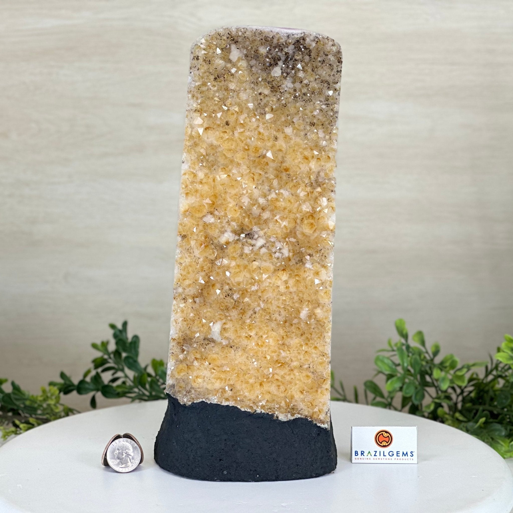 Extra Quality Citrine Cluster on Cement Base, 9 lbs and 12.1" Tall 5615 - 0064 - Brazil GemsBrazil GemsExtra Quality Citrine Cluster on Cement Base, 9 lbs and 12.1" Tall 5615 - 0064Clusters on Cement Bases5615 - 0064