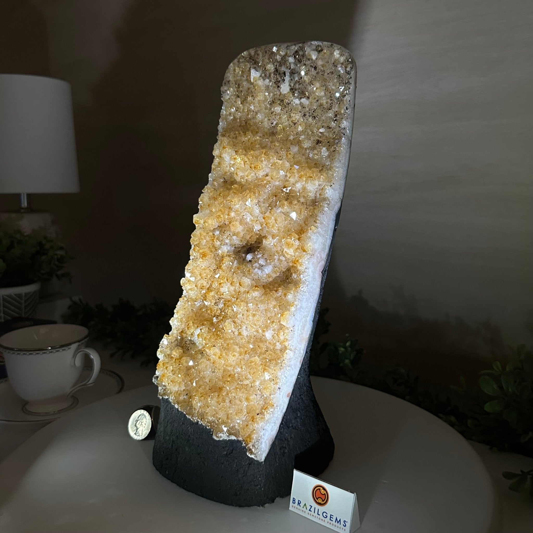 Extra Quality Citrine Cluster on Cement Base, 9 lbs and 12.1" Tall 5615 - 0064 - Brazil GemsBrazil GemsExtra Quality Citrine Cluster on Cement Base, 9 lbs and 12.1" Tall 5615 - 0064Clusters on Cement Bases5615 - 0064