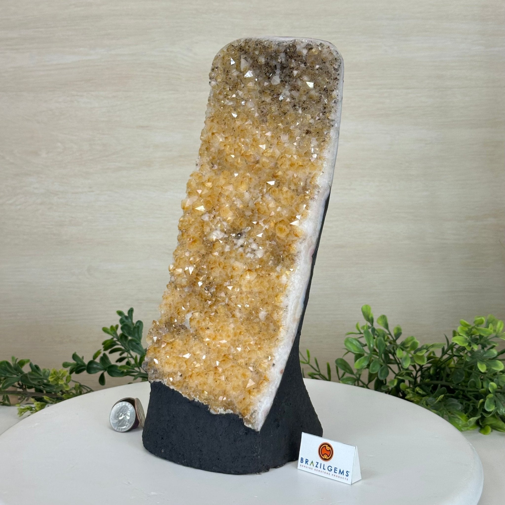 Extra Quality Citrine Cluster on Cement Base, 9 lbs and 12.1" Tall 5615 - 0064 - Brazil GemsBrazil GemsExtra Quality Citrine Cluster on Cement Base, 9 lbs and 12.1" Tall 5615 - 0064Clusters on Cement Bases5615 - 0064