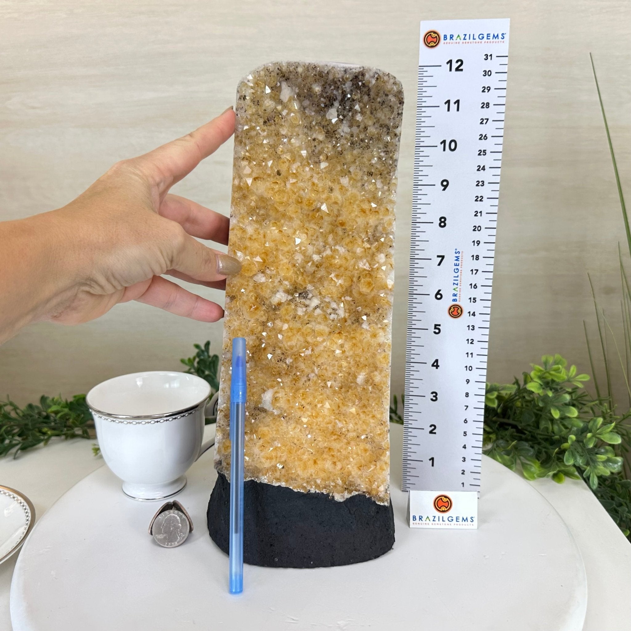 Extra Quality Citrine Cluster on Cement Base, 9 lbs and 12.1" Tall 5615 - 0064 - Brazil GemsBrazil GemsExtra Quality Citrine Cluster on Cement Base, 9 lbs and 12.1" Tall 5615 - 0064Clusters on Cement Bases5615 - 0064