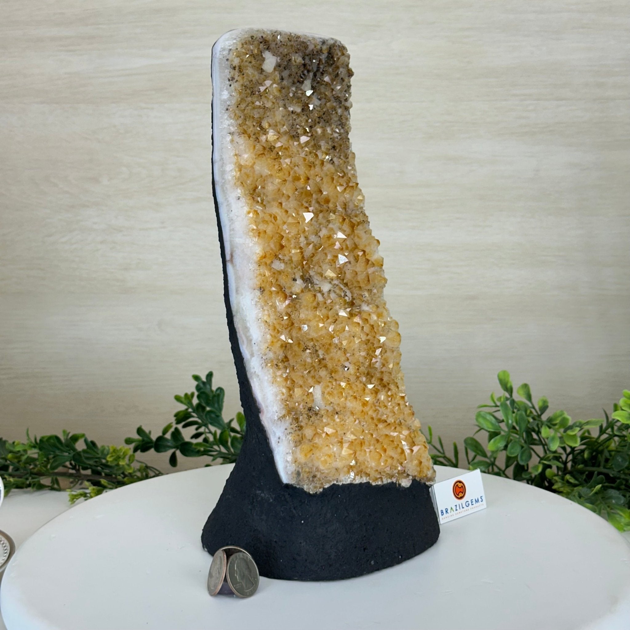 Extra Quality Citrine Cluster on Cement Base, 9 lbs and 12.1" Tall 5615 - 0064 - Brazil GemsBrazil GemsExtra Quality Citrine Cluster on Cement Base, 9 lbs and 12.1" Tall 5615 - 0064Clusters on Cement Bases5615 - 0064