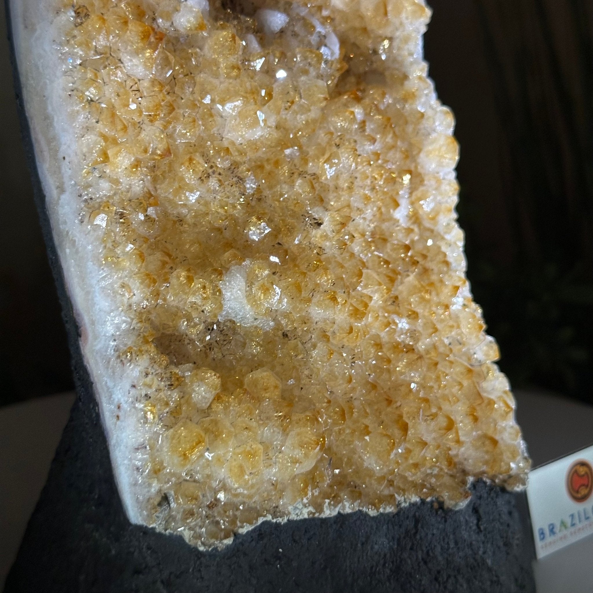 Extra Quality Citrine Cluster on Cement Base, 9 lbs and 12.1" Tall 5615 - 0064 - Brazil GemsBrazil GemsExtra Quality Citrine Cluster on Cement Base, 9 lbs and 12.1" Tall 5615 - 0064Clusters on Cement Bases5615 - 0064