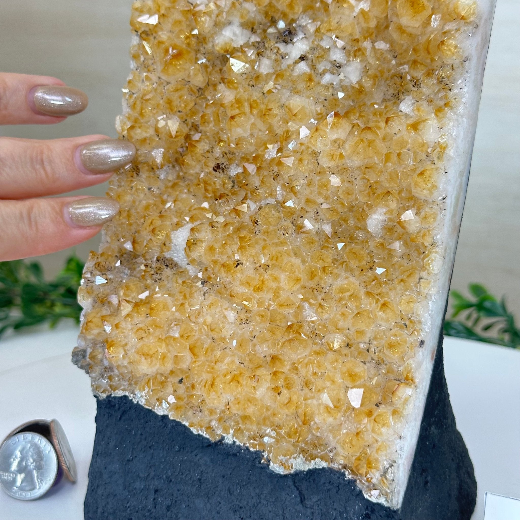 Extra Quality Citrine Cluster on Cement Base, 9 lbs and 12.1" Tall 5615 - 0064 - Brazil GemsBrazil GemsExtra Quality Citrine Cluster on Cement Base, 9 lbs and 12.1" Tall 5615 - 0064Clusters on Cement Bases5615 - 0064