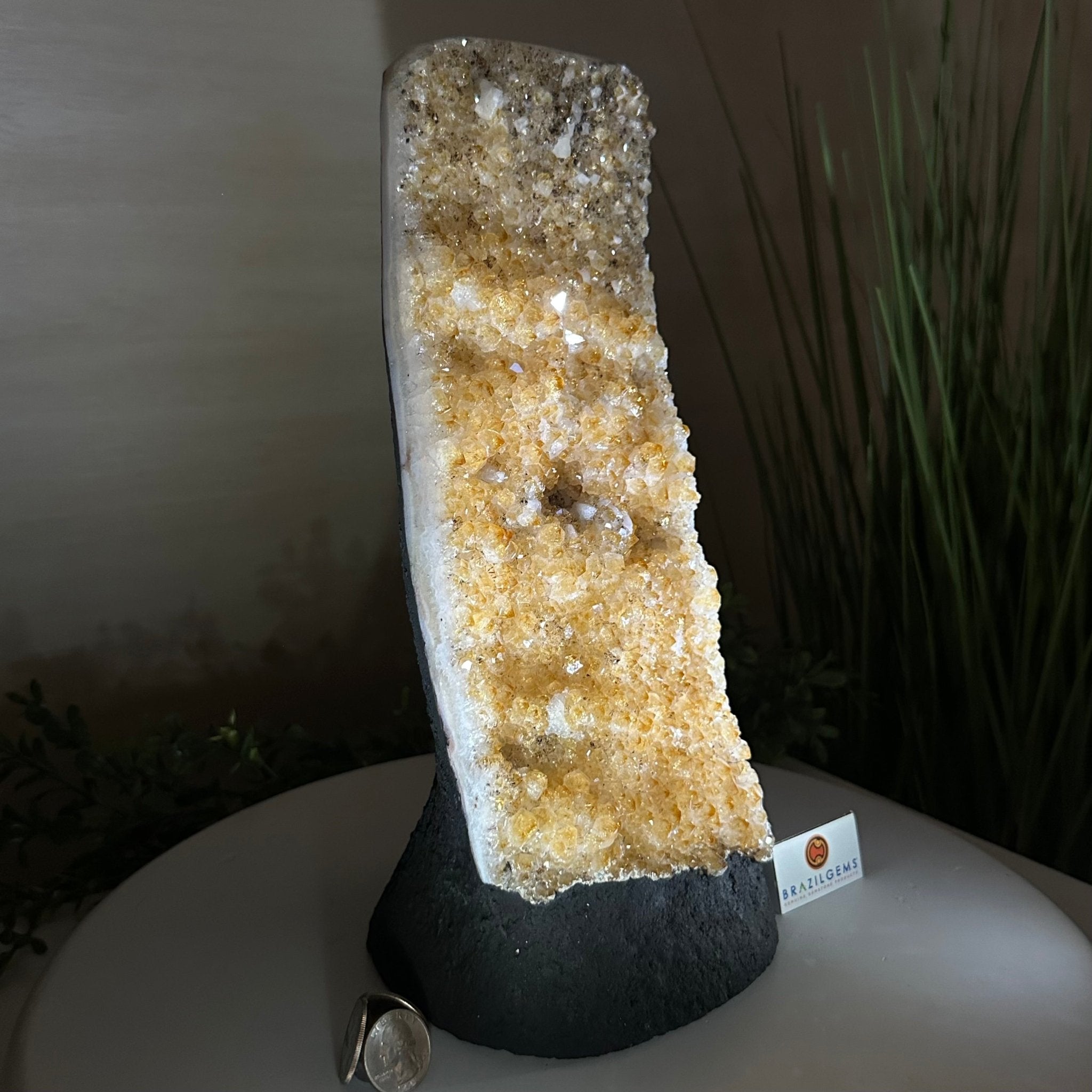 Extra Quality Citrine Cluster on Cement Base, 9 lbs and 12.1" Tall 5615 - 0064 - Brazil GemsBrazil GemsExtra Quality Citrine Cluster on Cement Base, 9 lbs and 12.1" Tall 5615 - 0064Clusters on Cement Bases5615 - 0064