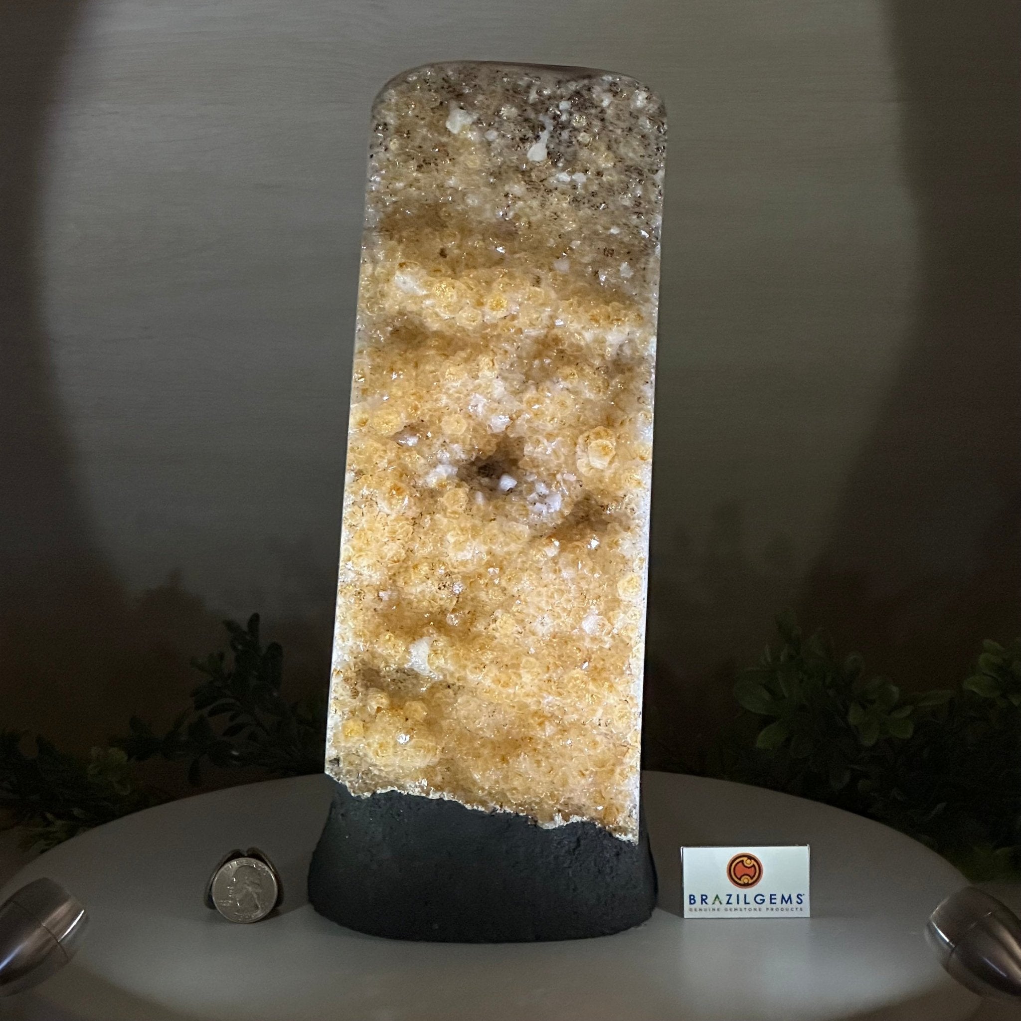 Extra Quality Citrine Cluster on Cement Base, 9 lbs and 12.1" Tall 5615 - 0064 - Brazil GemsBrazil GemsExtra Quality Citrine Cluster on Cement Base, 9 lbs and 12.1" Tall 5615 - 0064Clusters on Cement Bases5615 - 0064