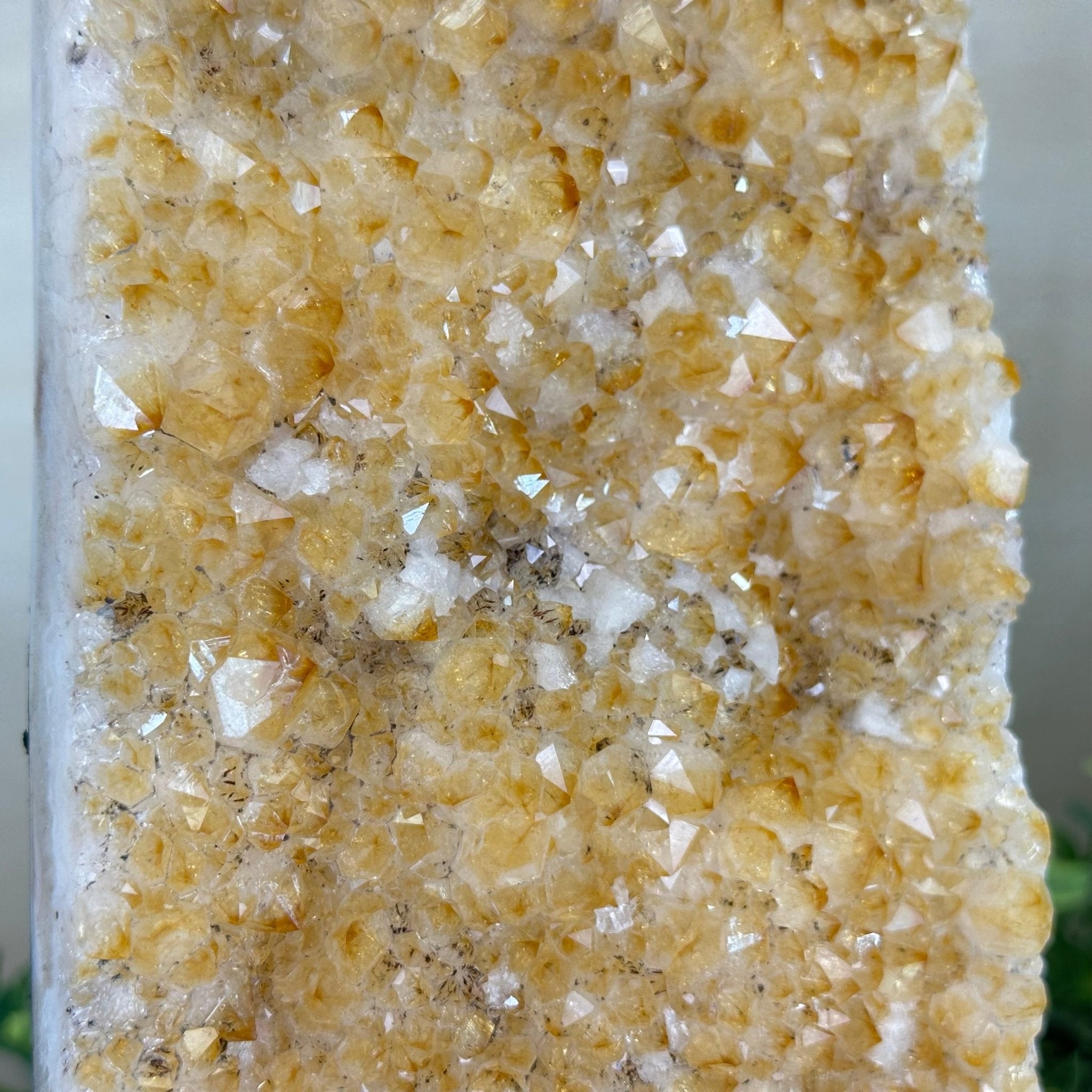 Extra Quality Citrine Cluster on Cement Base, 9 lbs and 12.1" Tall 5615 - 0064 - Brazil GemsBrazil GemsExtra Quality Citrine Cluster on Cement Base, 9 lbs and 12.1" Tall 5615 - 0064Clusters on Cement Bases5615 - 0064