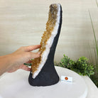 Extra Quality Citrine Cluster on Cement Base, 9 lbs and 12.1" Tall 5615 - 0064 - Brazil GemsBrazil GemsExtra Quality Citrine Cluster on Cement Base, 9 lbs and 12.1" Tall 5615 - 0064Clusters on Cement Bases5615 - 0064