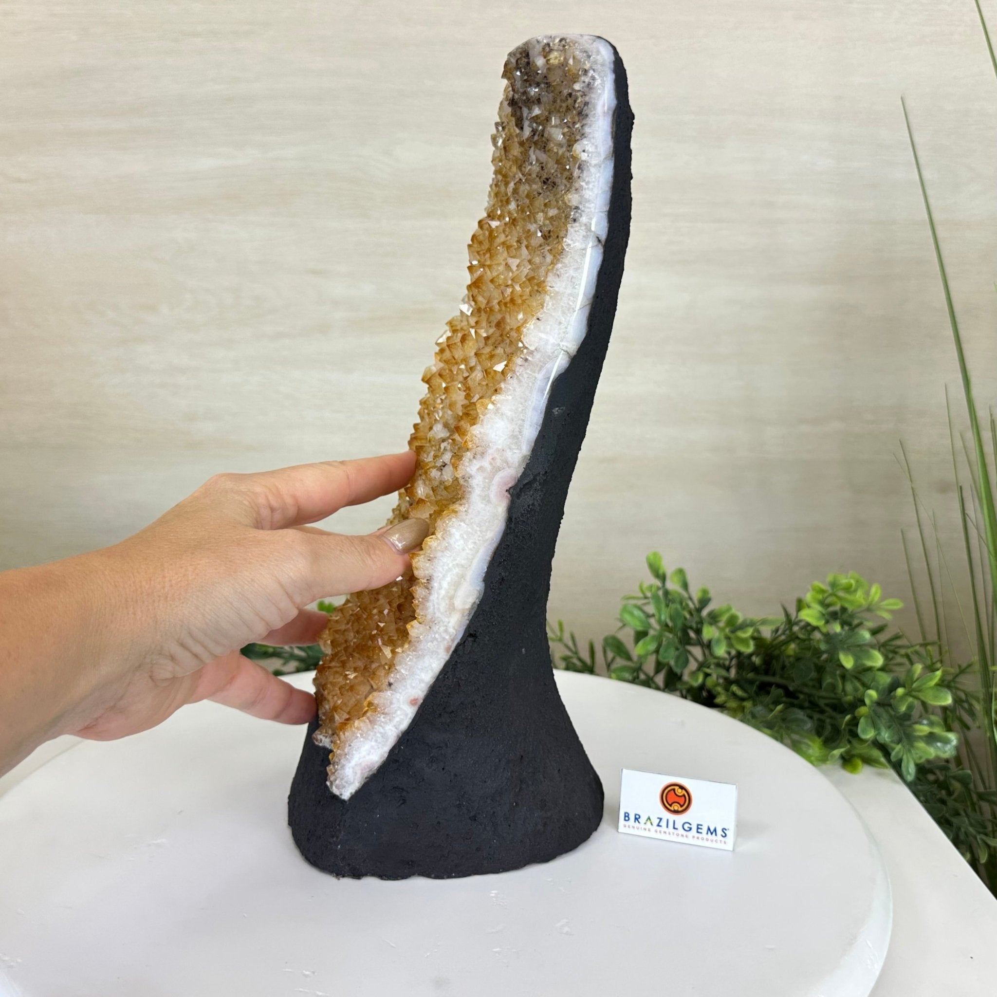 Extra Quality Citrine Cluster on Cement Base, 9 lbs and 12.1" Tall 5615 - 0064 - Brazil GemsBrazil GemsExtra Quality Citrine Cluster on Cement Base, 9 lbs and 12.1" Tall 5615 - 0064Clusters on Cement Bases5615 - 0064