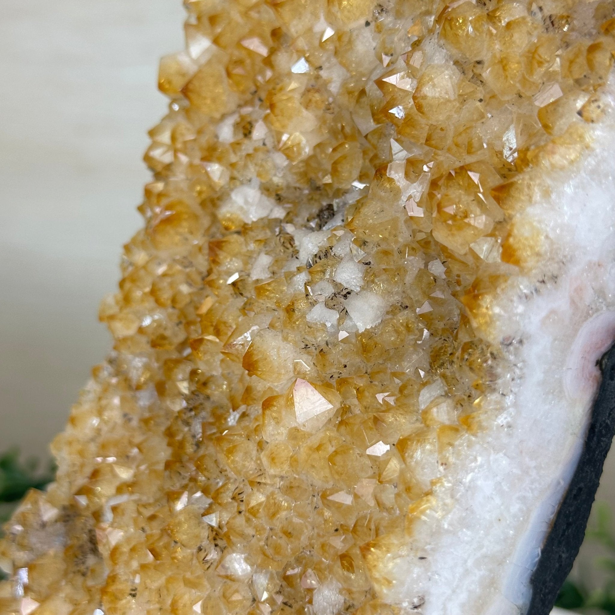 Extra Quality Citrine Cluster on Cement Base, 9 lbs and 12.1" Tall 5615 - 0064 - Brazil GemsBrazil GemsExtra Quality Citrine Cluster on Cement Base, 9 lbs and 12.1" Tall 5615 - 0064Clusters on Cement Bases5615 - 0064