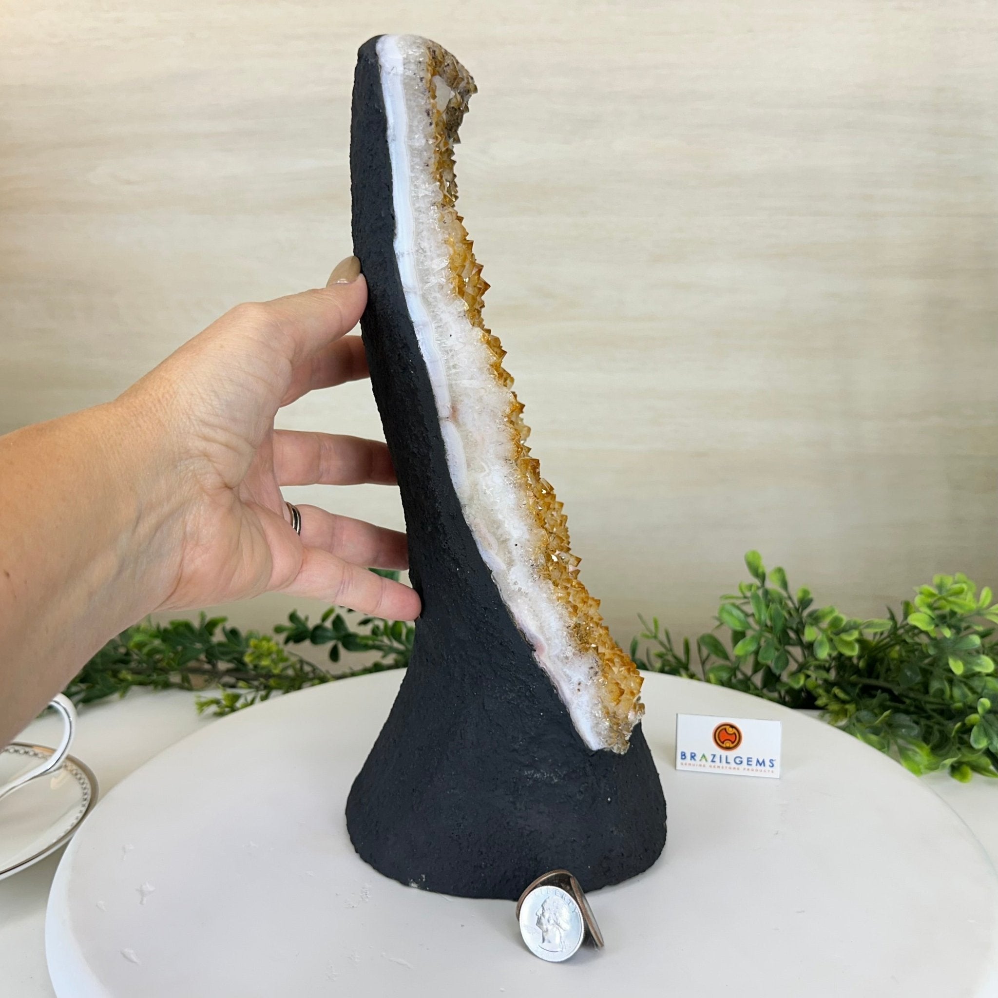 Extra Quality Citrine Cluster on Cement Base, 9 lbs and 12.1" Tall 5615 - 0064 - Brazil GemsBrazil GemsExtra Quality Citrine Cluster on Cement Base, 9 lbs and 12.1" Tall 5615 - 0064Clusters on Cement Bases5615 - 0064