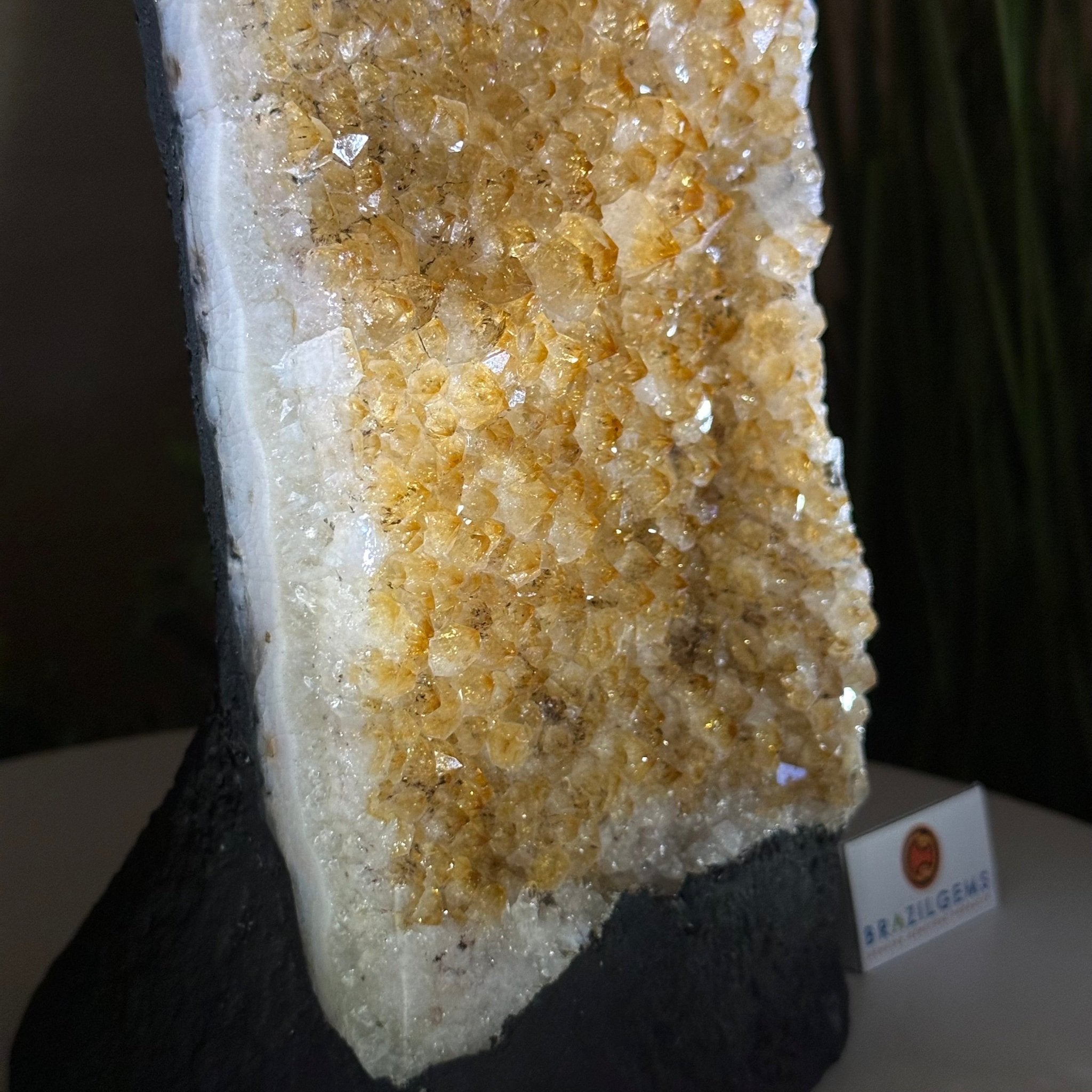 Extra Quality Citrine Cluster on Cement Base, 9.6 lbs and 11.9" Tall 5615 - 0065 - Brazil GemsBrazil GemsExtra Quality Citrine Cluster on Cement Base, 9.6 lbs and 11.9" Tall 5615 - 0065Clusters on Cement Bases5615 - 0065