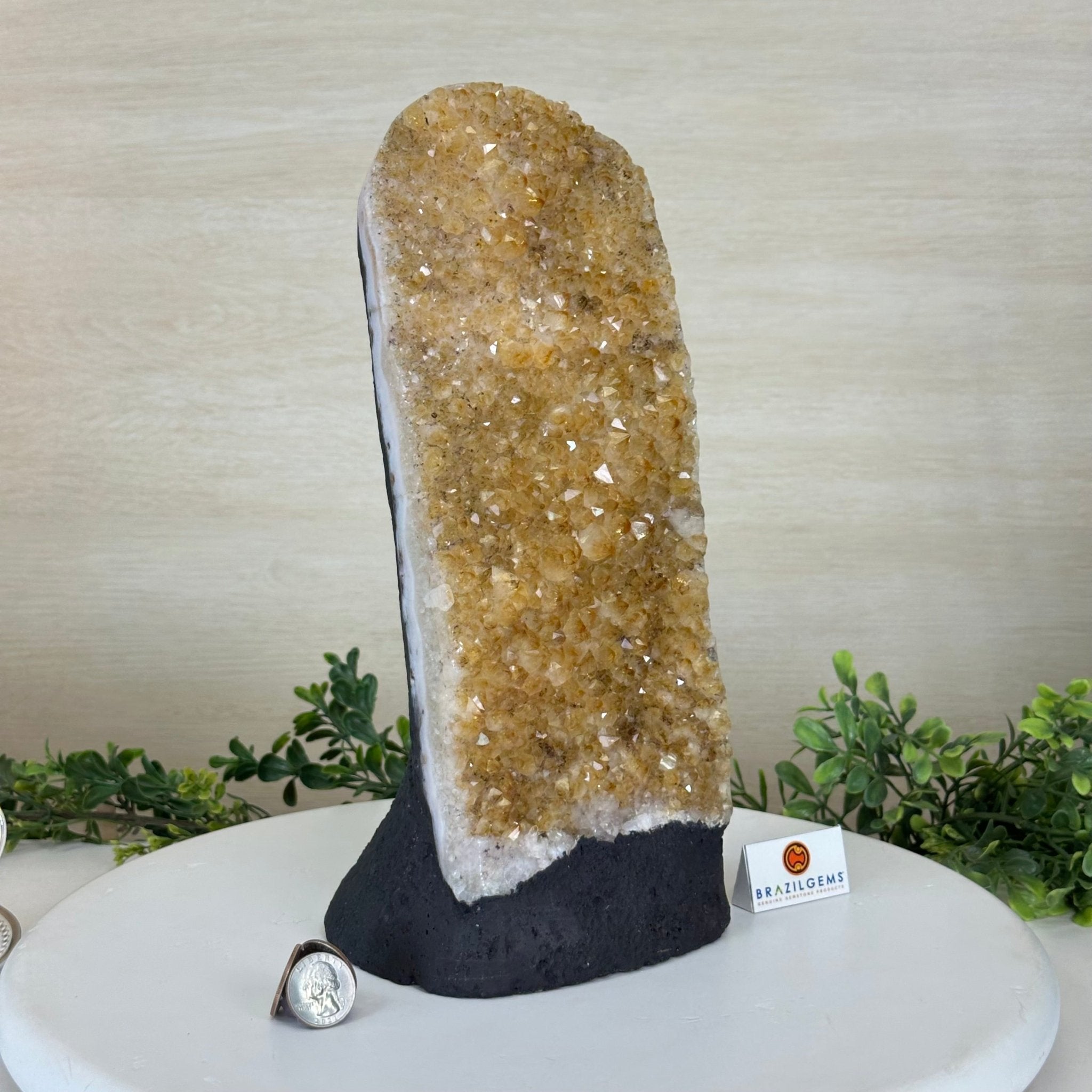 Extra Quality Citrine Cluster on Cement Base, 9.6 lbs and 11.9" Tall 5615 - 0065 - Brazil GemsBrazil GemsExtra Quality Citrine Cluster on Cement Base, 9.6 lbs and 11.9" Tall 5615 - 0065Clusters on Cement Bases5615 - 0065