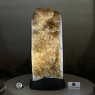 Extra Quality Citrine Cluster on Cement Base, 9.6 lbs and 11.9" Tall 5615 - 0065 - Brazil GemsBrazil GemsExtra Quality Citrine Cluster on Cement Base, 9.6 lbs and 11.9" Tall 5615 - 0065Clusters on Cement Bases5615 - 0065