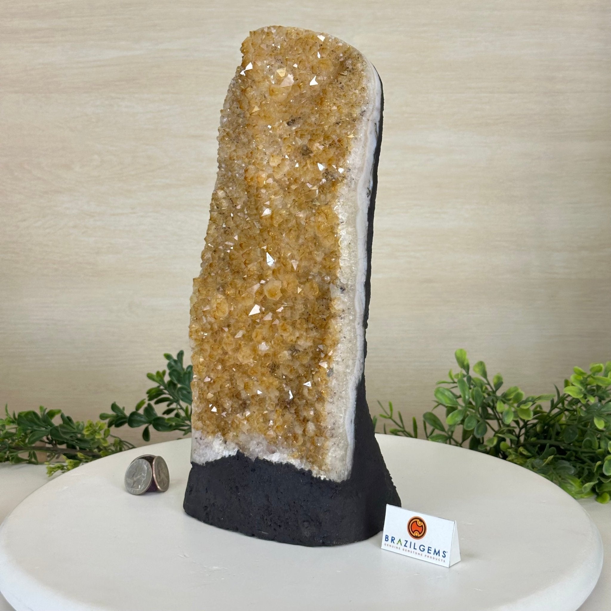 Extra Quality Citrine Cluster on Cement Base, 9.6 lbs and 11.9" Tall 5615 - 0065 - Brazil GemsBrazil GemsExtra Quality Citrine Cluster on Cement Base, 9.6 lbs and 11.9" Tall 5615 - 0065Clusters on Cement Bases5615 - 0065