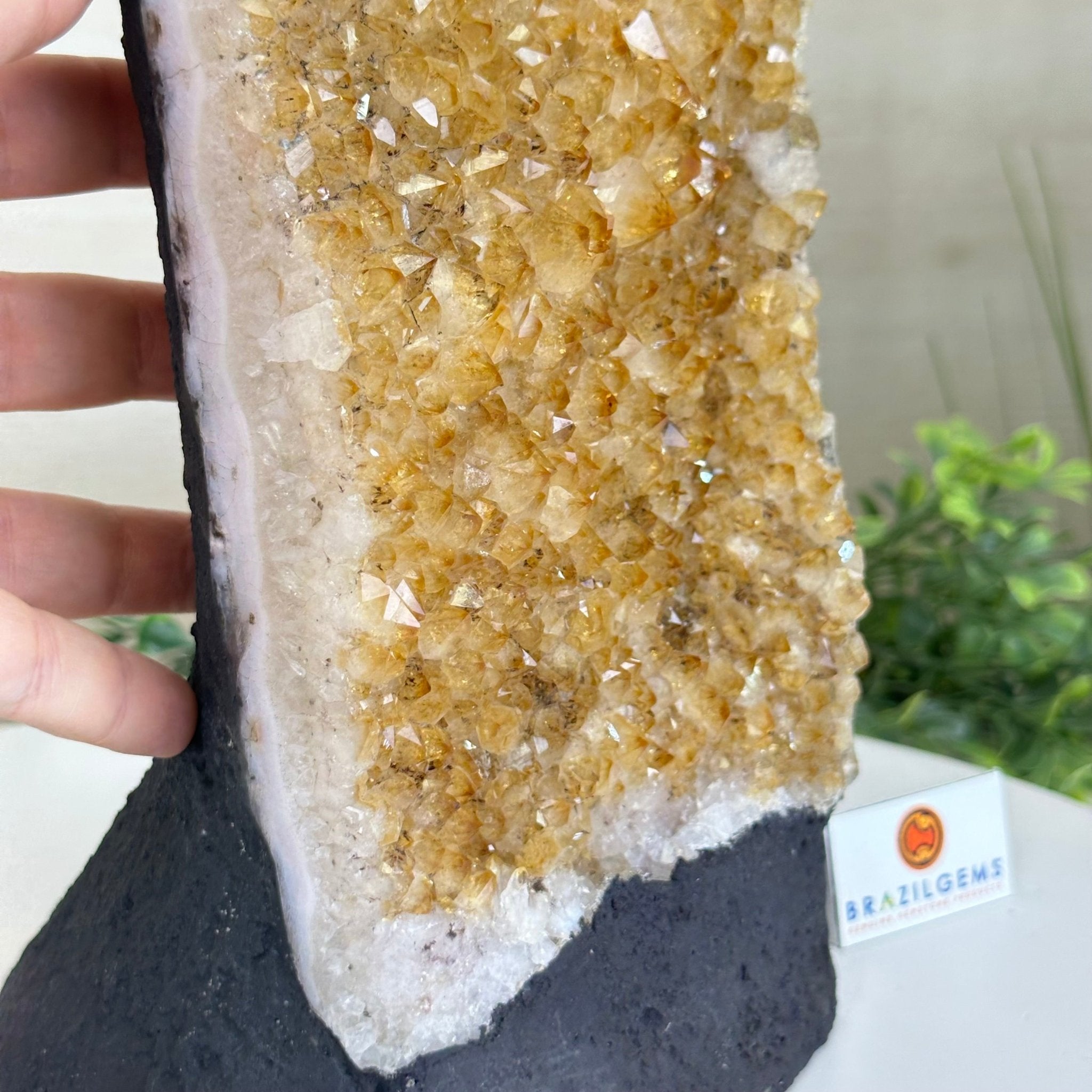 Extra Quality Citrine Cluster on Cement Base, 9.6 lbs and 11.9" Tall 5615 - 0065 - Brazil GemsBrazil GemsExtra Quality Citrine Cluster on Cement Base, 9.6 lbs and 11.9" Tall 5615 - 0065Clusters on Cement Bases5615 - 0065
