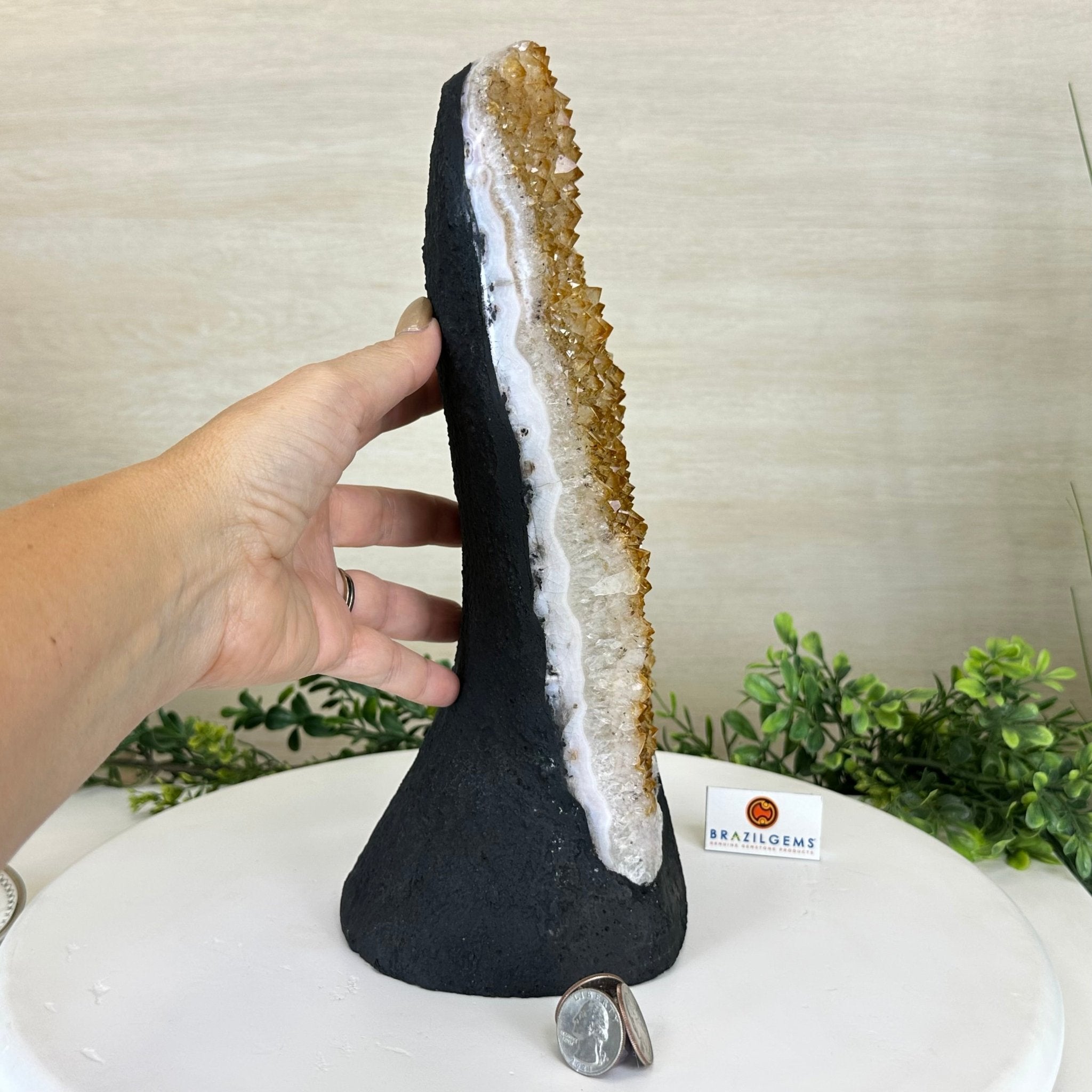 Extra Quality Citrine Cluster on Cement Base, 9.6 lbs and 11.9" Tall 5615 - 0065 - Brazil GemsBrazil GemsExtra Quality Citrine Cluster on Cement Base, 9.6 lbs and 11.9" Tall 5615 - 0065Clusters on Cement Bases5615 - 0065