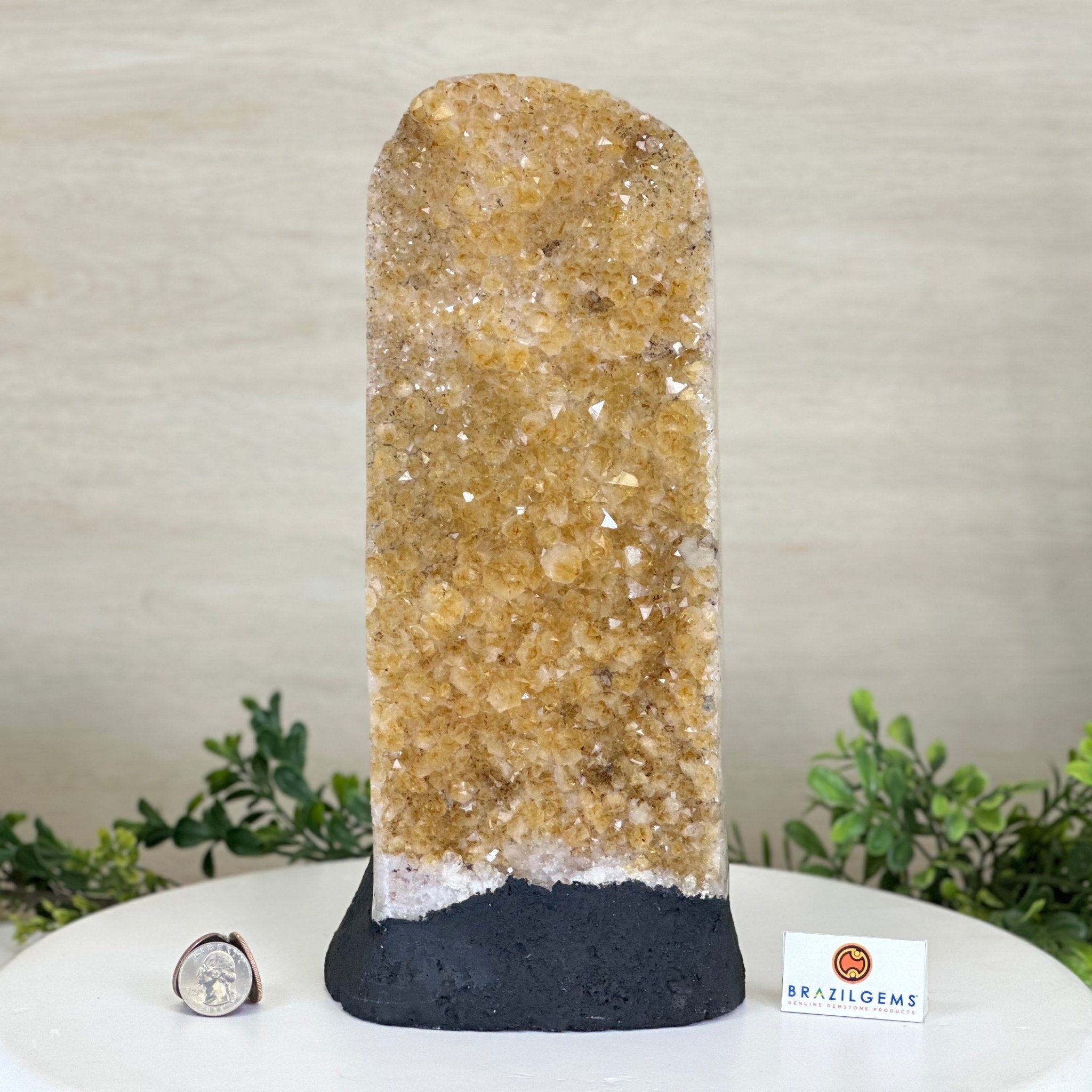 Extra Quality Citrine Cluster on Cement Base, 9.6 lbs and 11.9" Tall 5615 - 0065 - Brazil GemsBrazil GemsExtra Quality Citrine Cluster on Cement Base, 9.6 lbs and 11.9" Tall 5615 - 0065Clusters on Cement Bases5615 - 0065
