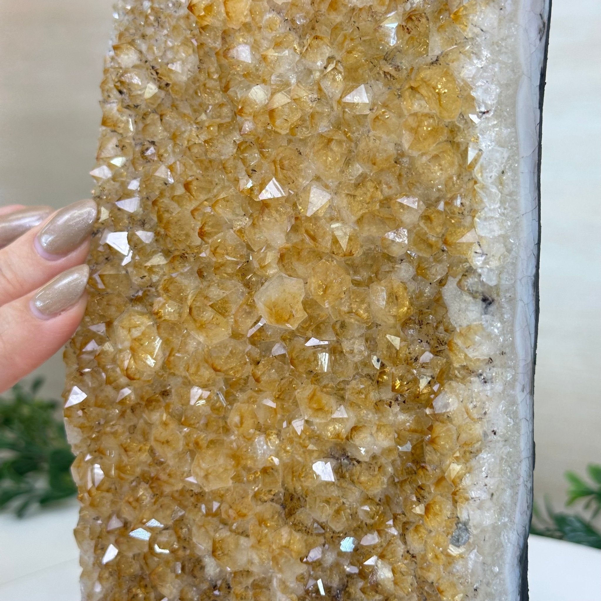 Extra Quality Citrine Cluster on Cement Base, 9.6 lbs and 11.9" Tall 5615 - 0065 - Brazil GemsBrazil GemsExtra Quality Citrine Cluster on Cement Base, 9.6 lbs and 11.9" Tall 5615 - 0065Clusters on Cement Bases5615 - 0065