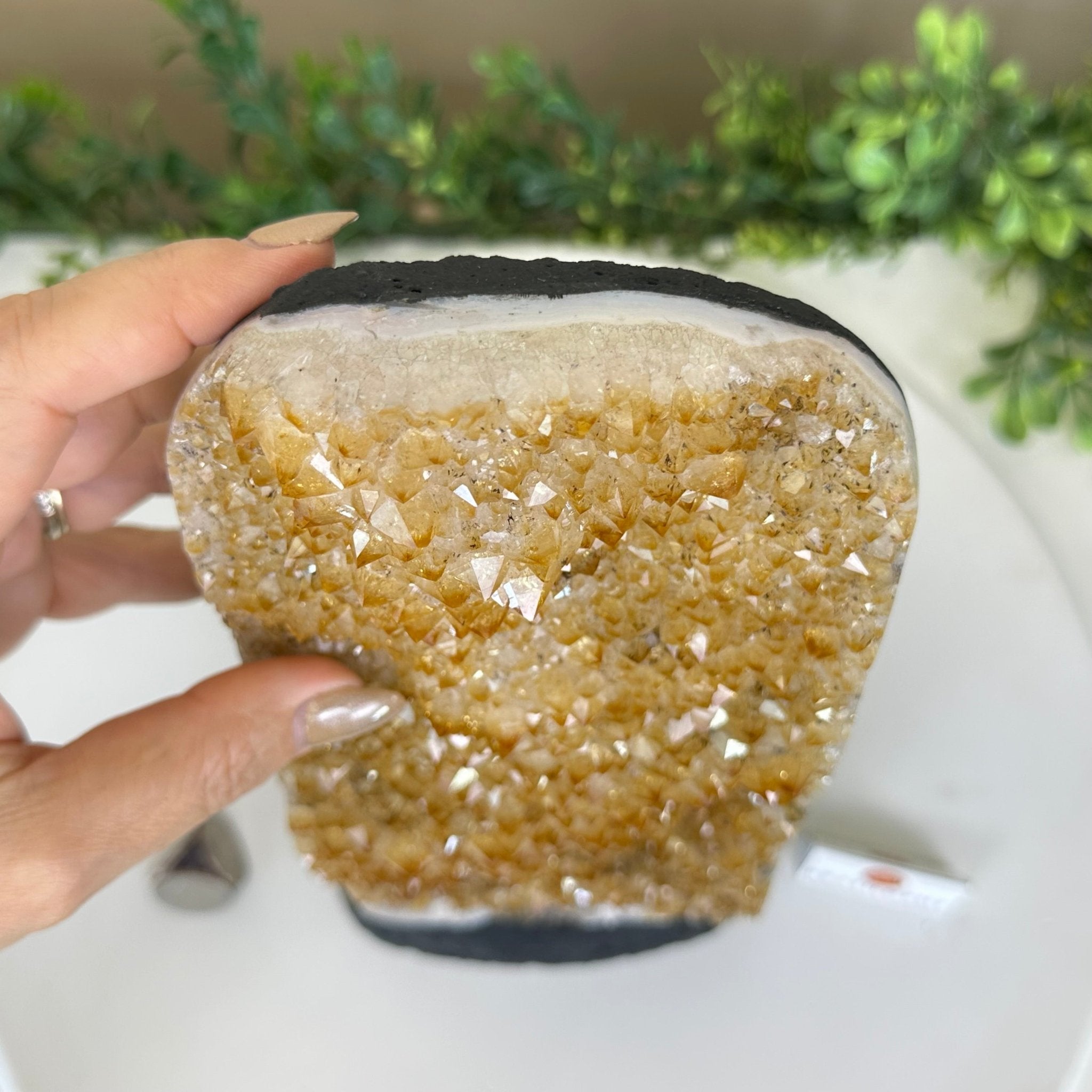 Extra Quality Citrine Cluster on Cement Base, 9.6 lbs and 11.9" Tall 5615 - 0065 - Brazil GemsBrazil GemsExtra Quality Citrine Cluster on Cement Base, 9.6 lbs and 11.9" Tall 5615 - 0065Clusters on Cement Bases5615 - 0065