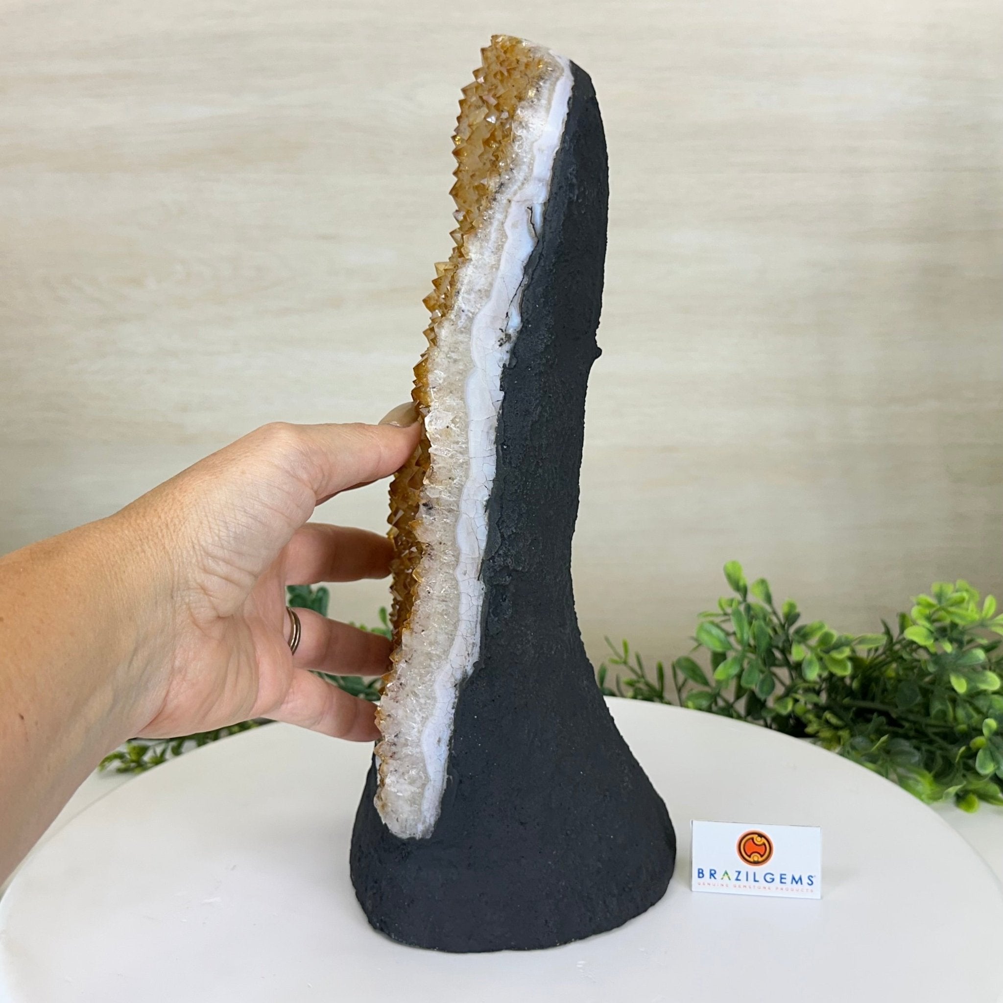 Extra Quality Citrine Cluster on Cement Base, 9.6 lbs and 11.9" Tall 5615 - 0065 - Brazil GemsBrazil GemsExtra Quality Citrine Cluster on Cement Base, 9.6 lbs and 11.9" Tall 5615 - 0065Clusters on Cement Bases5615 - 0065
