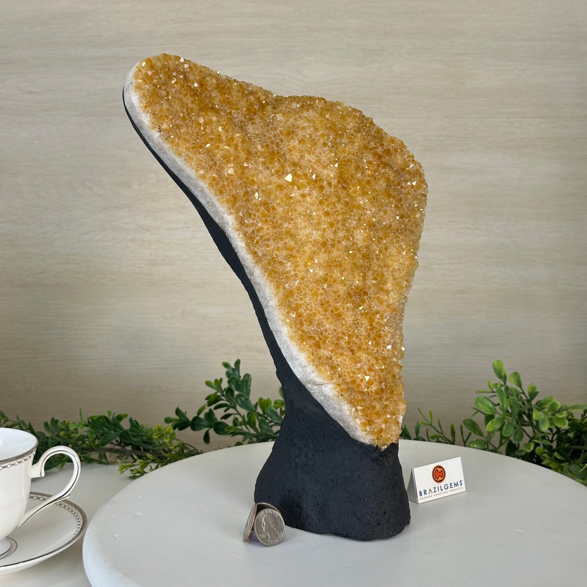 Extra Quality Citrine Cluster on Cement Base, 9.8 lbs and 12.5" Tall 5615 - 0066 - Brazil GemsBrazil GemsExtra Quality Citrine Cluster on Cement Base, 9.8 lbs and 12.5" Tall 5615 - 0066Clusters on Cement Bases5615 - 0066