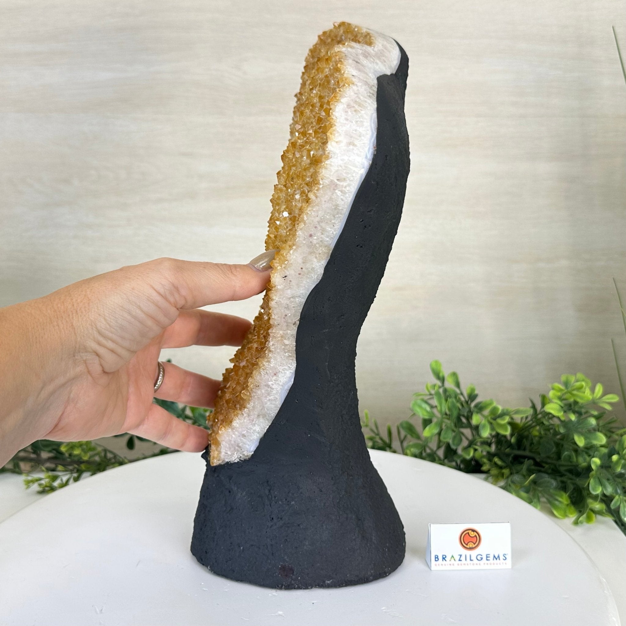Extra Quality Citrine Cluster on Cement Base, 9.8 lbs and 12.5" Tall 5615 - 0066 - Brazil GemsBrazil GemsExtra Quality Citrine Cluster on Cement Base, 9.8 lbs and 12.5" Tall 5615 - 0066Clusters on Cement Bases5615 - 0066