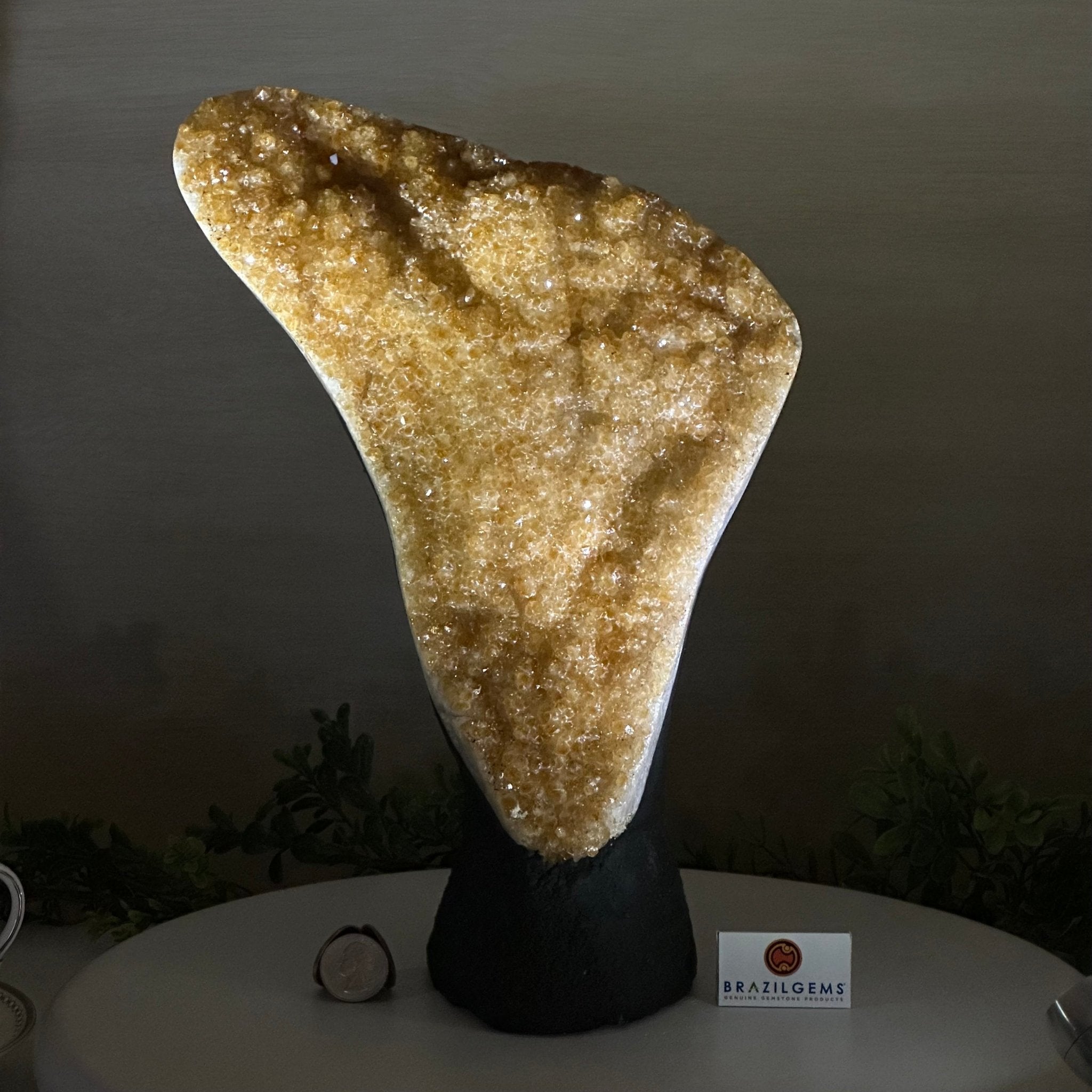Extra Quality Citrine Cluster on Cement Base, 9.8 lbs and 12.5" Tall 5615 - 0066 - Brazil GemsBrazil GemsExtra Quality Citrine Cluster on Cement Base, 9.8 lbs and 12.5" Tall 5615 - 0066Clusters on Cement Bases5615 - 0066