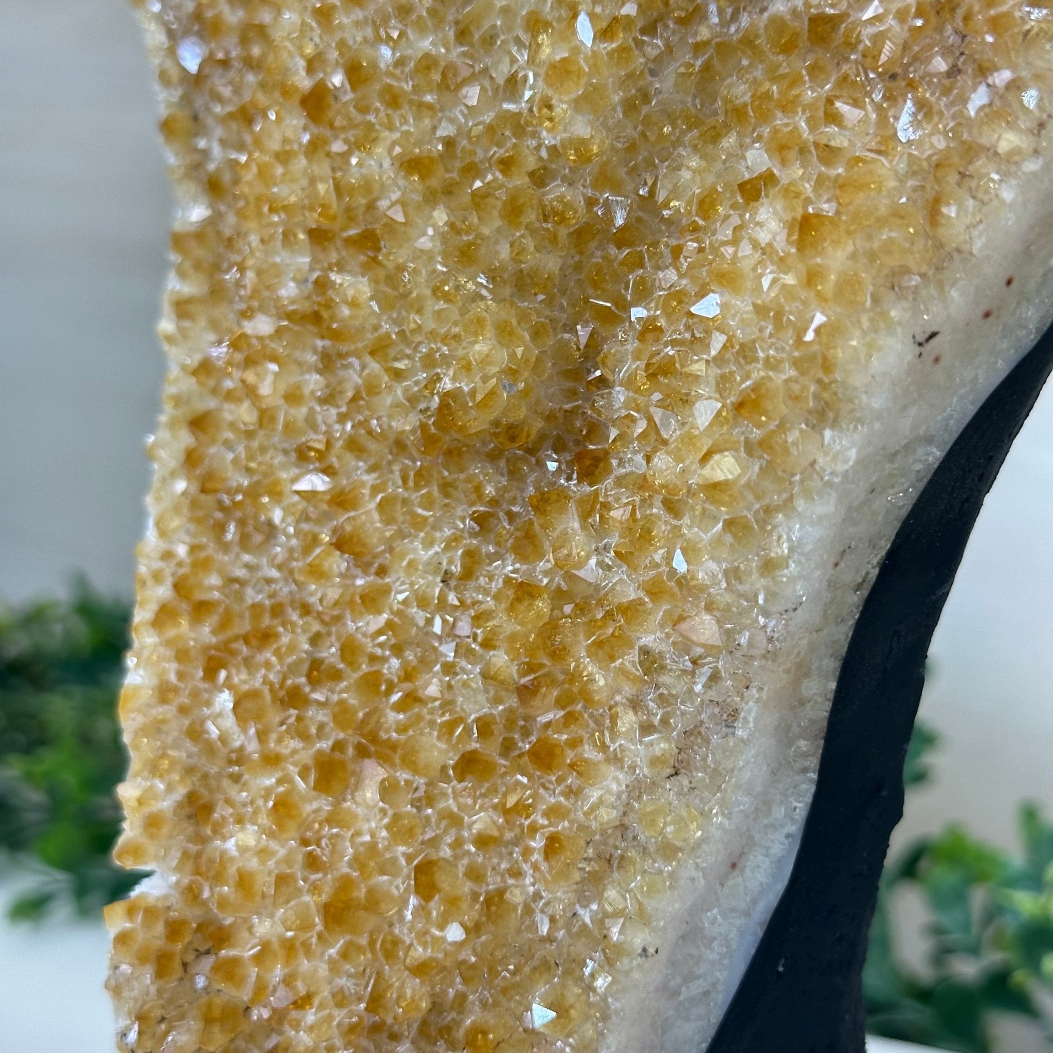Extra Quality Citrine Cluster on Cement Base, 9.8 lbs and 12.5" Tall 5615 - 0066 - Brazil GemsBrazil GemsExtra Quality Citrine Cluster on Cement Base, 9.8 lbs and 12.5" Tall 5615 - 0066Clusters on Cement Bases5615 - 0066
