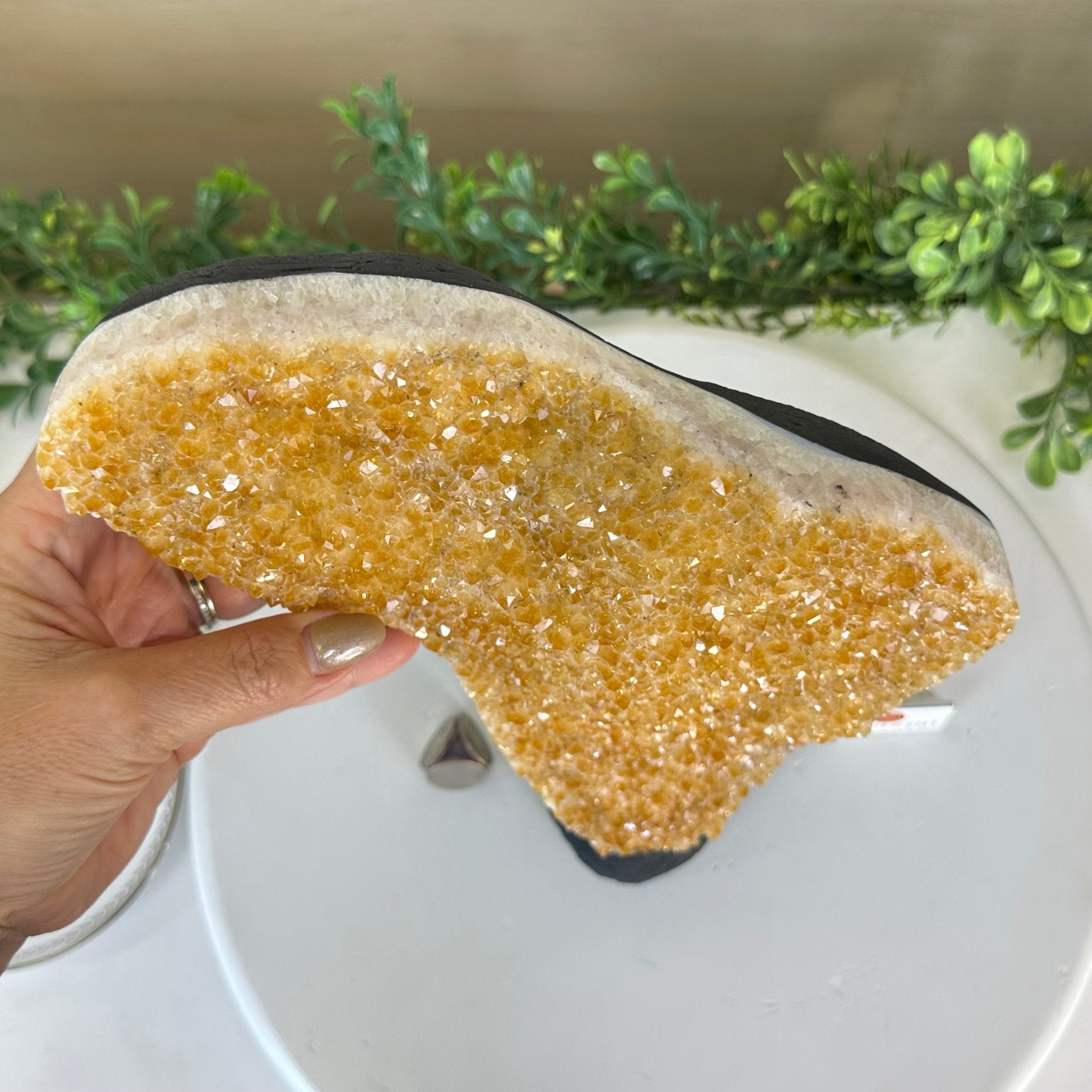 Extra Quality Citrine Cluster on Cement Base, 9.8 lbs and 12.5" Tall 5615 - 0066 - Brazil GemsBrazil GemsExtra Quality Citrine Cluster on Cement Base, 9.8 lbs and 12.5" Tall 5615 - 0066Clusters on Cement Bases5615 - 0066