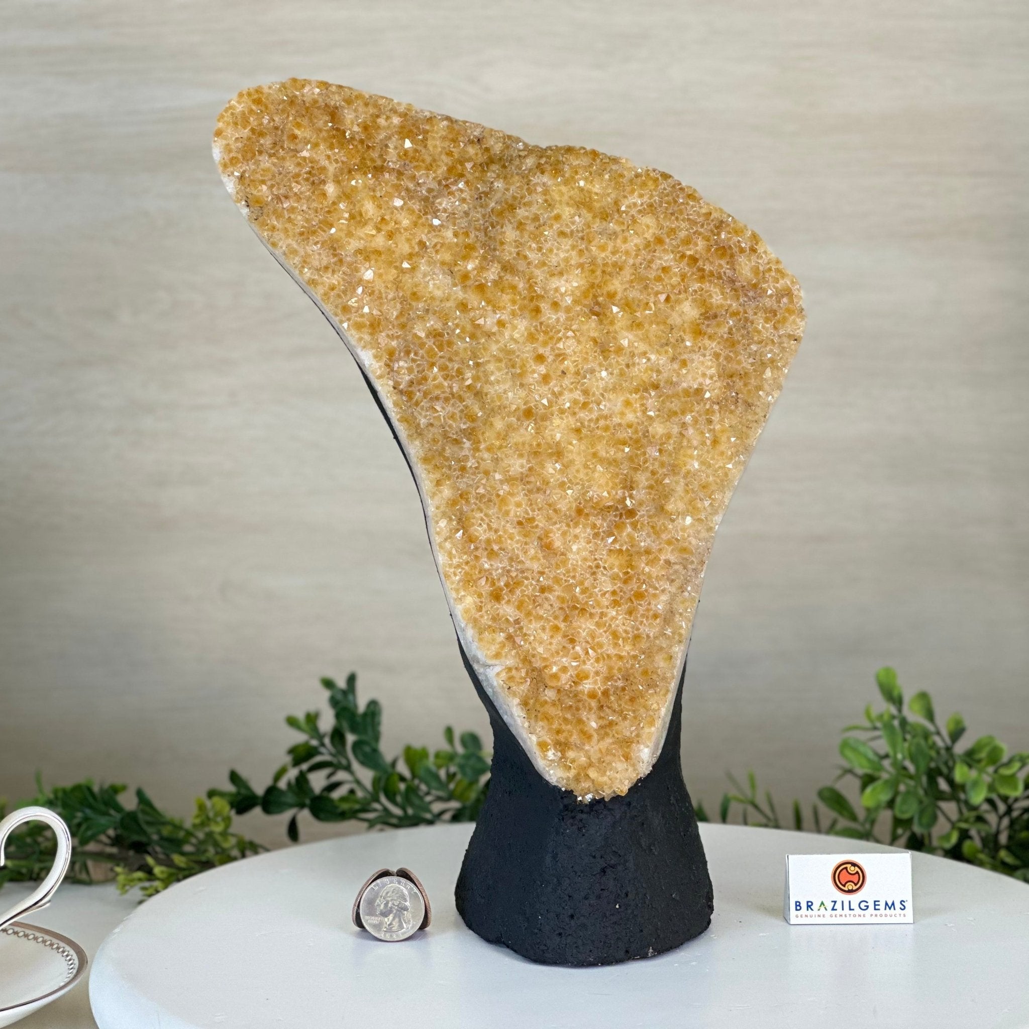 Extra Quality Citrine Cluster on Cement Base, 9.8 lbs and 12.5" Tall 5615 - 0066 - Brazil GemsBrazil GemsExtra Quality Citrine Cluster on Cement Base, 9.8 lbs and 12.5" Tall 5615 - 0066Clusters on Cement Bases5615 - 0066