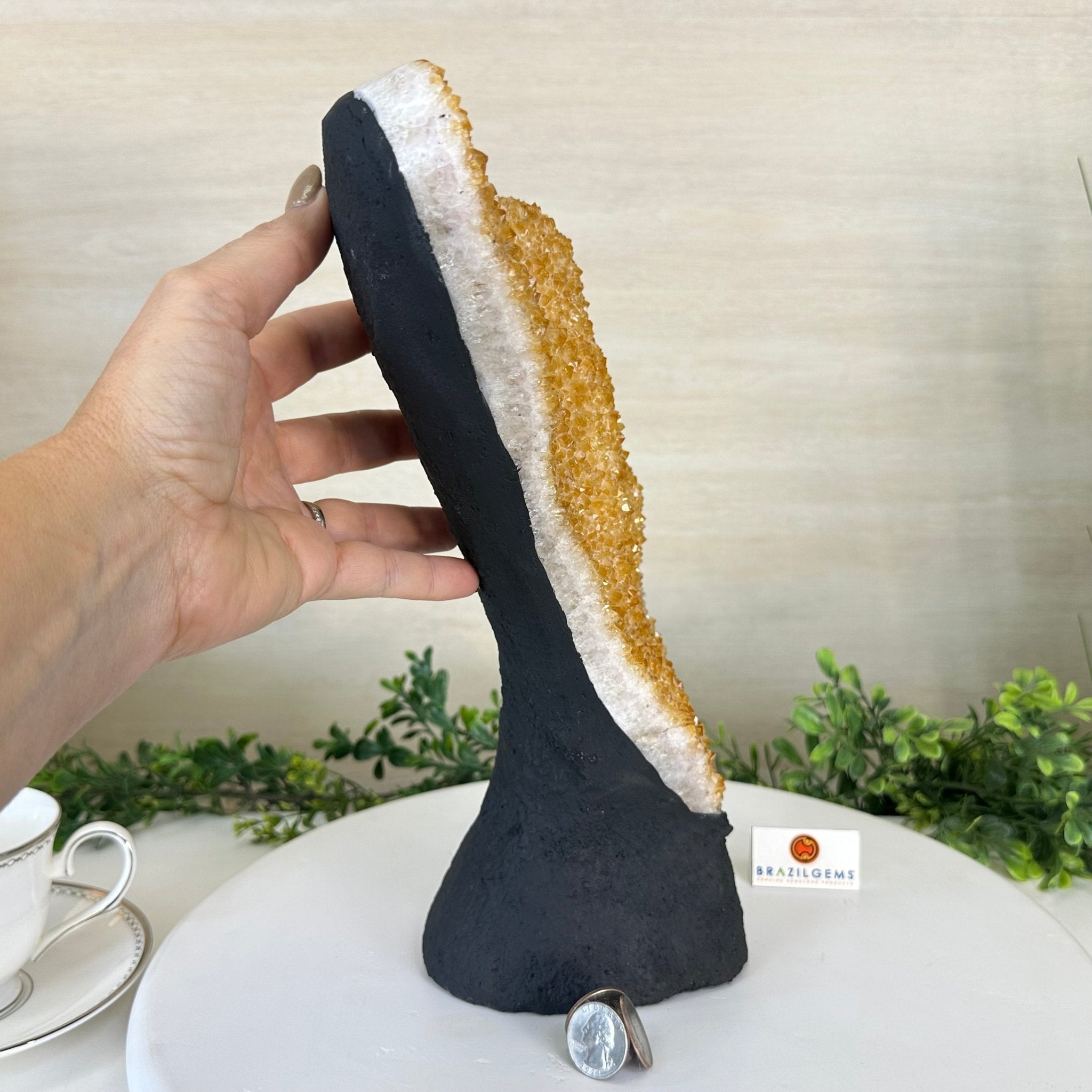 Extra Quality Citrine Cluster on Cement Base, 9.8 lbs and 12.5" Tall 5615 - 0066 - Brazil GemsBrazil GemsExtra Quality Citrine Cluster on Cement Base, 9.8 lbs and 12.5" Tall 5615 - 0066Clusters on Cement Bases5615 - 0066