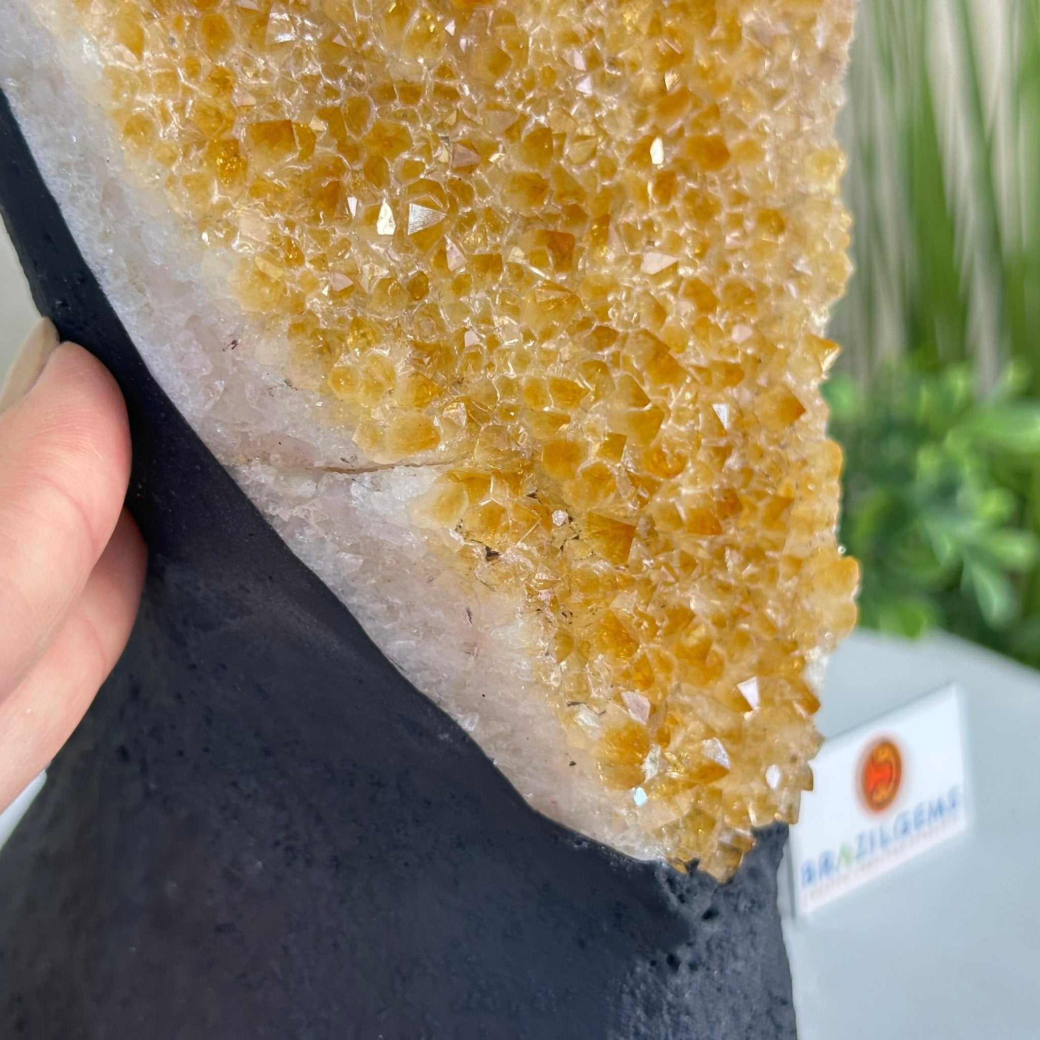 Extra Quality Citrine Cluster on Cement Base, 9.8 lbs and 12.5" Tall 5615 - 0066 - Brazil GemsBrazil GemsExtra Quality Citrine Cluster on Cement Base, 9.8 lbs and 12.5" Tall 5615 - 0066Clusters on Cement Bases5615 - 0066