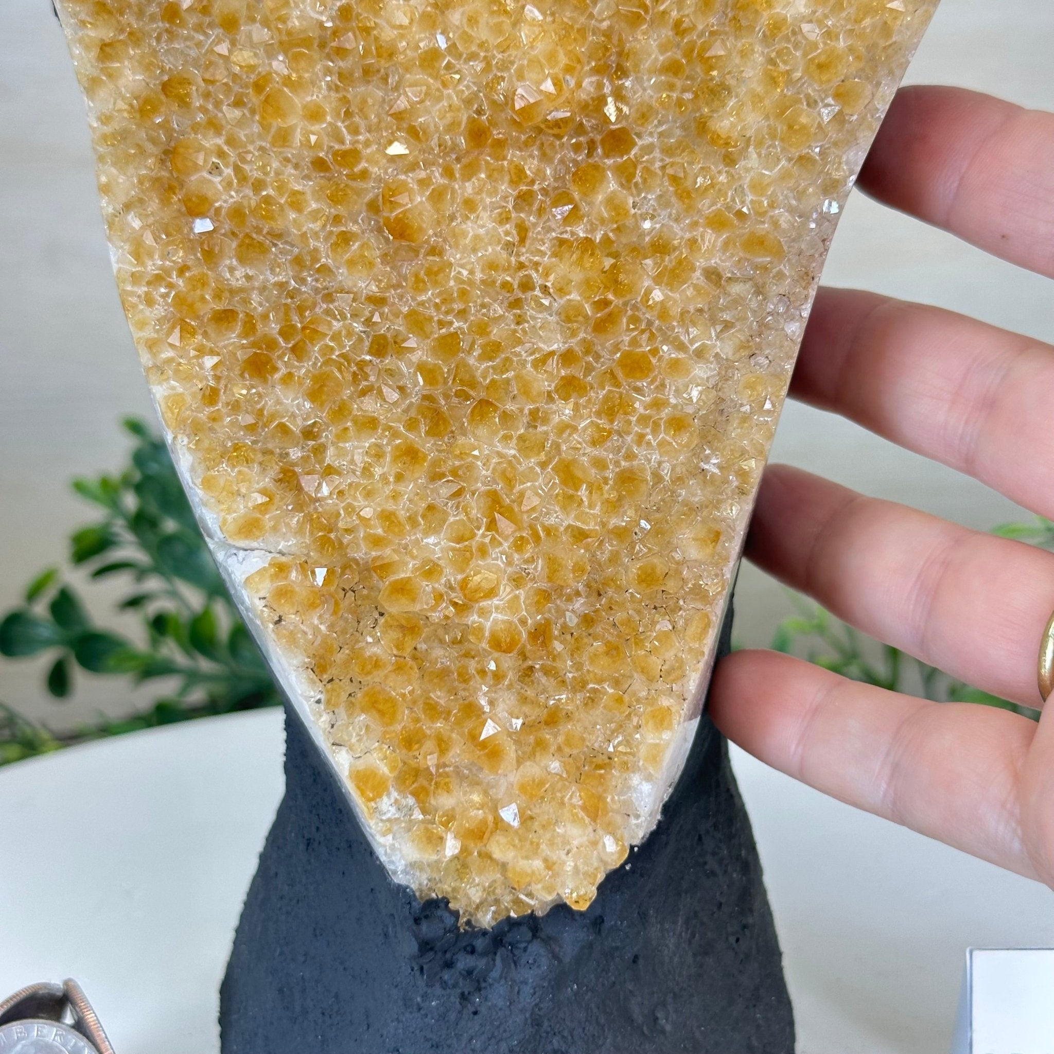 Extra Quality Citrine Cluster on Cement Base, 9.8 lbs and 12.5" Tall 5615 - 0066 - Brazil GemsBrazil GemsExtra Quality Citrine Cluster on Cement Base, 9.8 lbs and 12.5" Tall 5615 - 0066Clusters on Cement Bases5615 - 0066