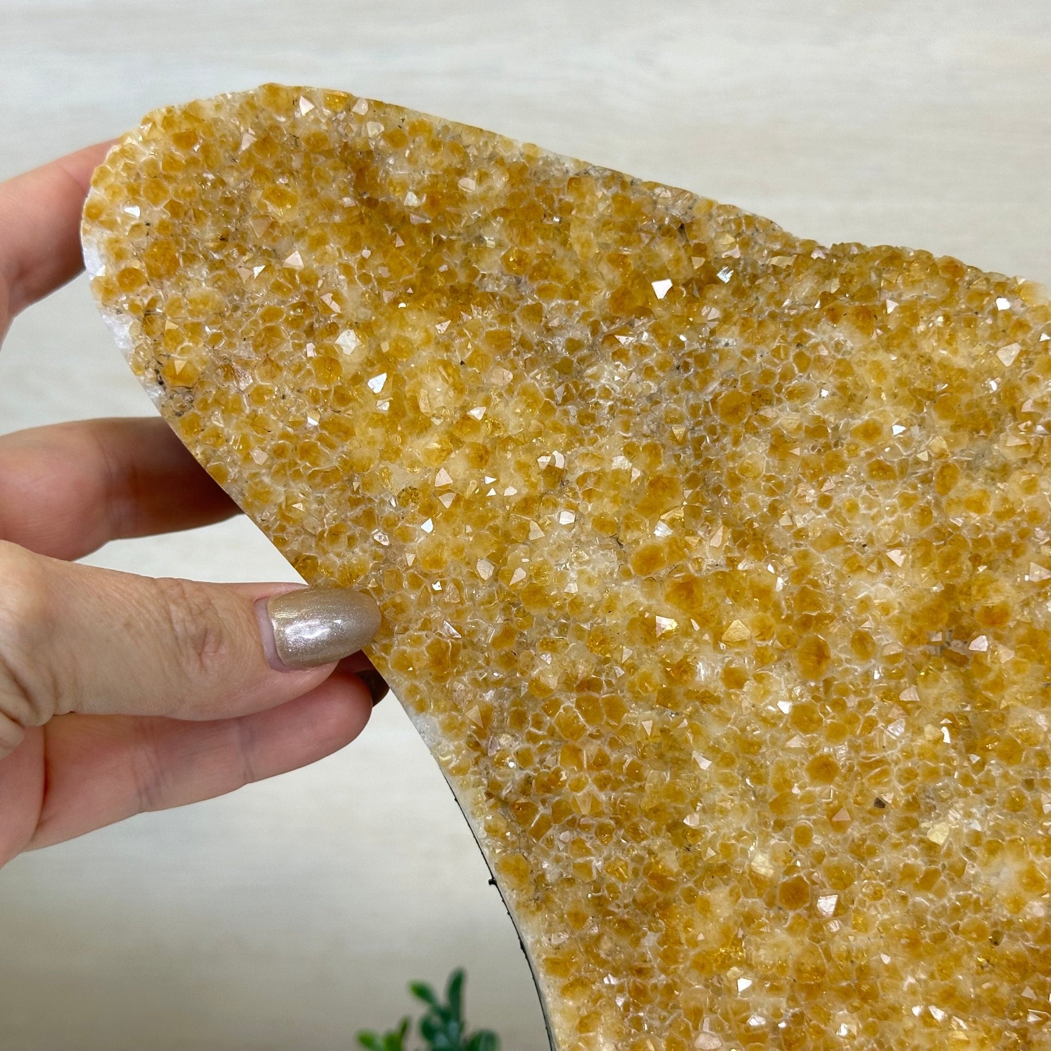Extra Quality Citrine Cluster on Cement Base, 9.8 lbs and 12.5" Tall 5615 - 0066 - Brazil GemsBrazil GemsExtra Quality Citrine Cluster on Cement Base, 9.8 lbs and 12.5" Tall 5615 - 0066Clusters on Cement Bases5615 - 0066