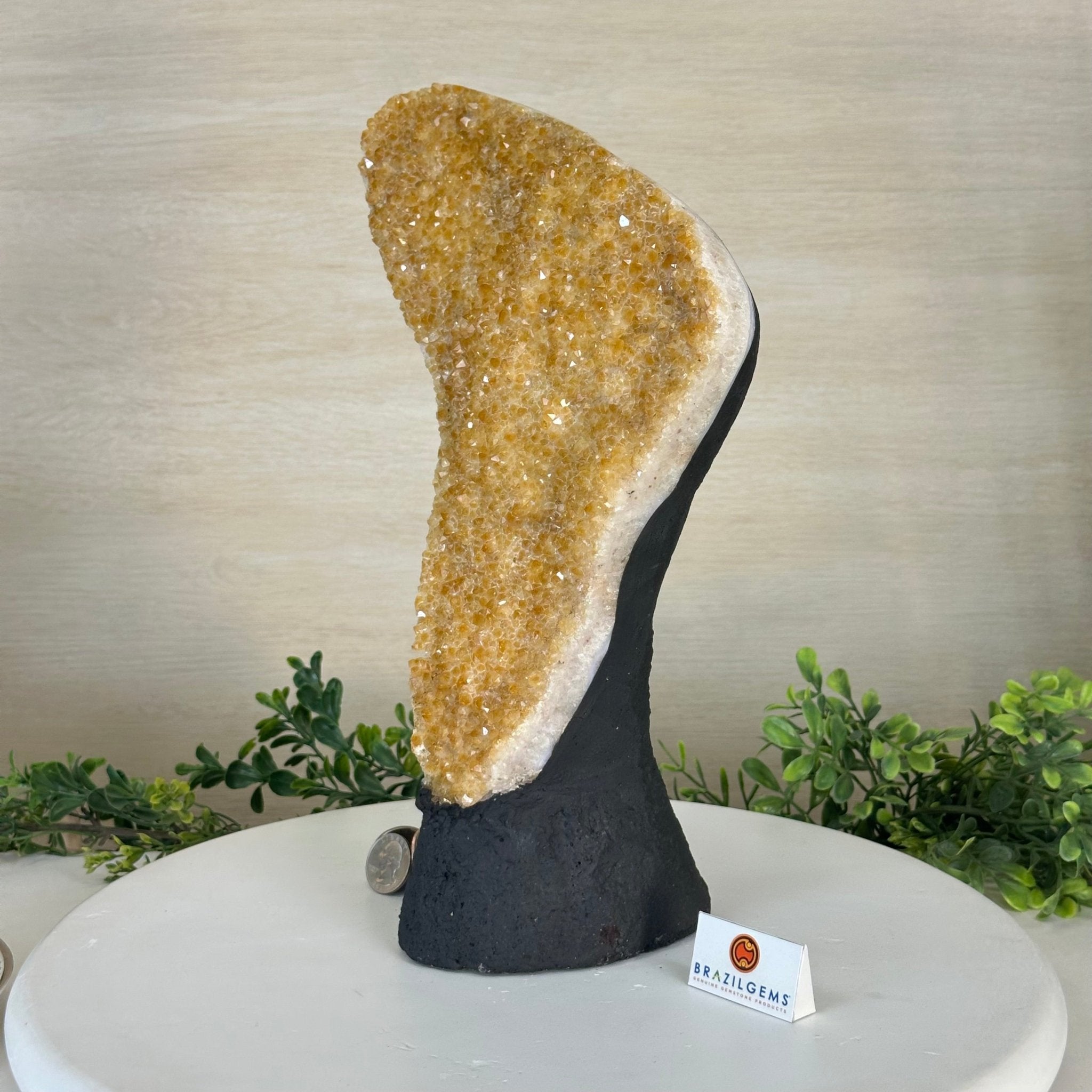 Extra Quality Citrine Cluster on Cement Base, 9.8 lbs and 12.5" Tall 5615 - 0066 - Brazil GemsBrazil GemsExtra Quality Citrine Cluster on Cement Base, 9.8 lbs and 12.5" Tall 5615 - 0066Clusters on Cement Bases5615 - 0066