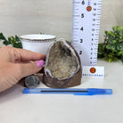 Extra Quality Citrine Cluster w/ flat base, 3.2" Tall 5612 - 0193 - Brazil GemsBrazil GemsExtra Quality Citrine Cluster w/ flat base, 3.2" Tall 5612 - 0193Small Clusters with Flat Bases5612 - 0193