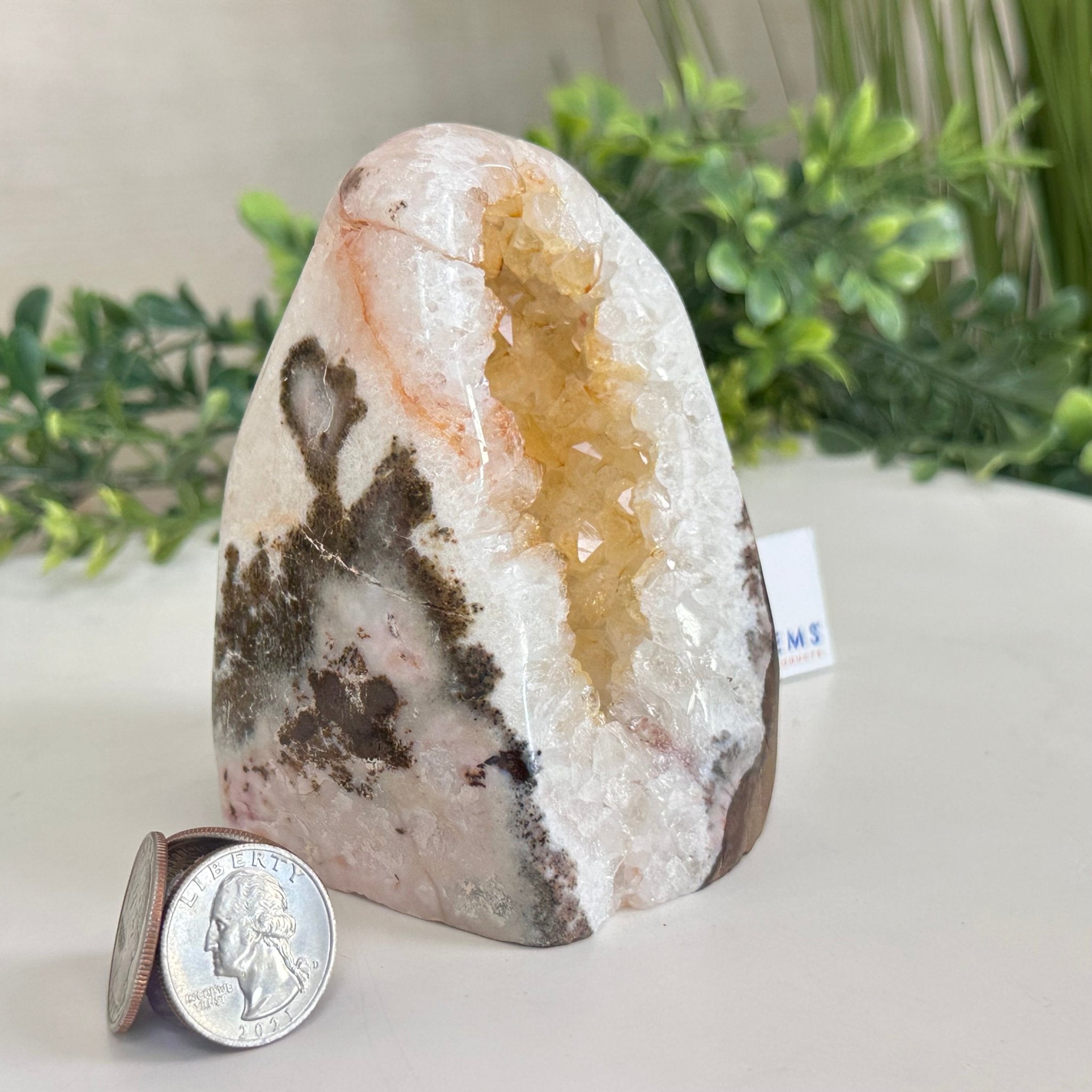 Extra Quality Citrine Cluster w/ flat base, 4.2" Tall 5612 - 0225 - Brazil GemsBrazil GemsExtra Quality Citrine Cluster w/ flat base, 4.2" Tall 5612 - 0225Small Clusters with Flat Bases5612 - 0225