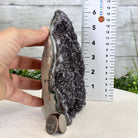 Extra Quality Galaxy Black Amethyst Cluster w/ flat bottom, 6.2" Tall #5611 - 0379 - Brazil GemsBrazil GemsExtra Quality Galaxy Black Amethyst Cluster w/ flat bottom, 6.2" Tall #5611 - 0379Small Clusters with Flat Bases5611 - 0379